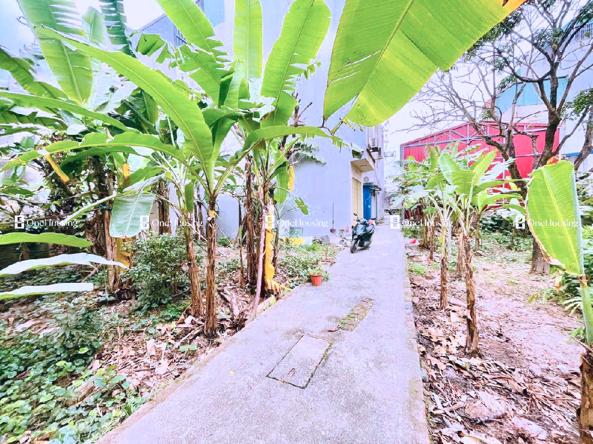 Đất nền cách Yên Lộ 200m, P. Yên Nghĩa, Q. Hà Đông, TP. Hà Nội