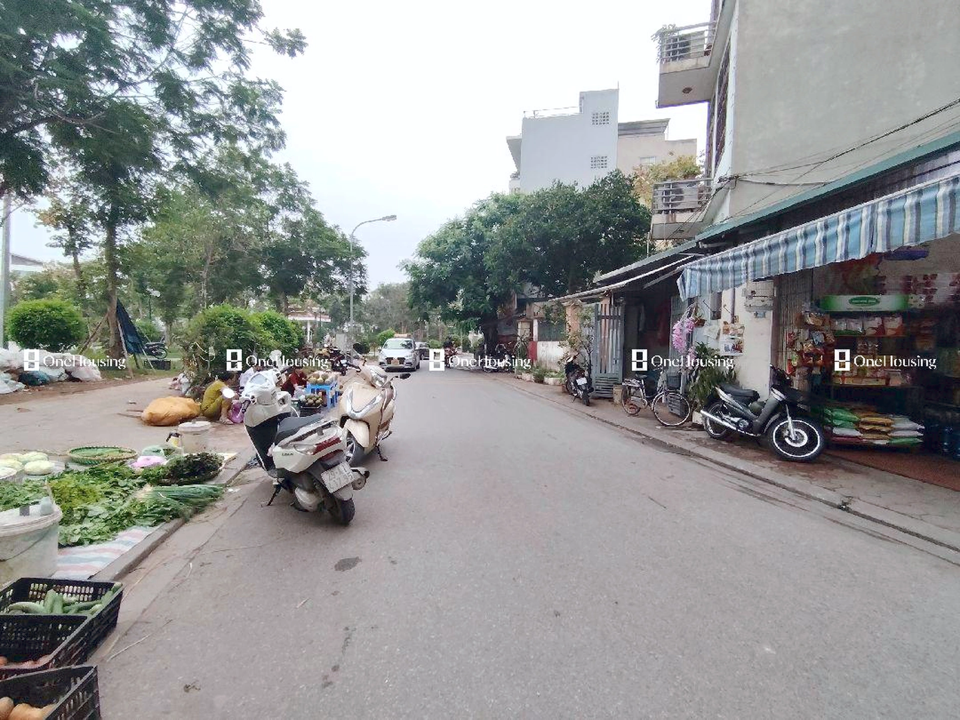 Nhà mặt ngõ cách Ngọc Thụy (mặt đê và đường gom chân đê) 50m, P. Ngọc Thụy, Q. Long Biên, TP. Hà Nội
