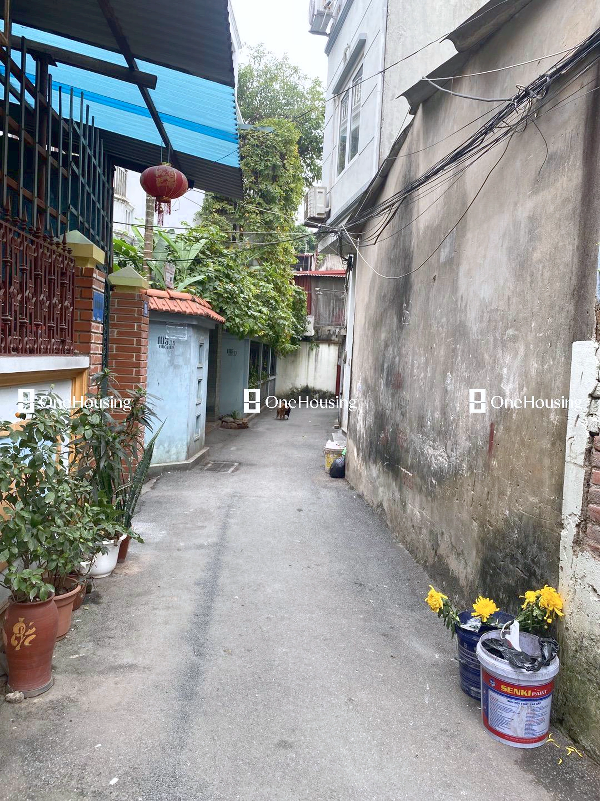 Nhà mặt ngõ cách Ngô Thì Sỹ 100m, P. Vạn Phúc, Q. Hà Đông, TP. Hà Nội