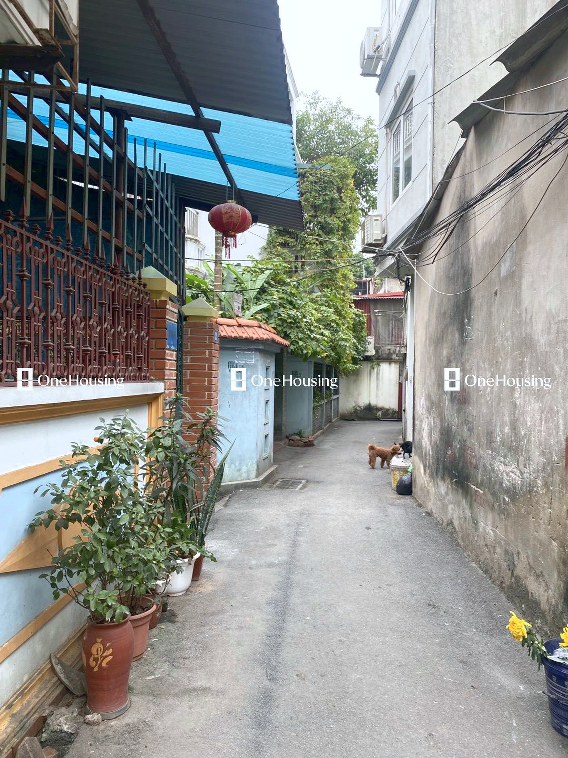 Nhà mặt ngõ cách Ngô Thì Sỹ 100m, P. Vạn Phúc, Q. Hà Đông, TP. Hà Nội