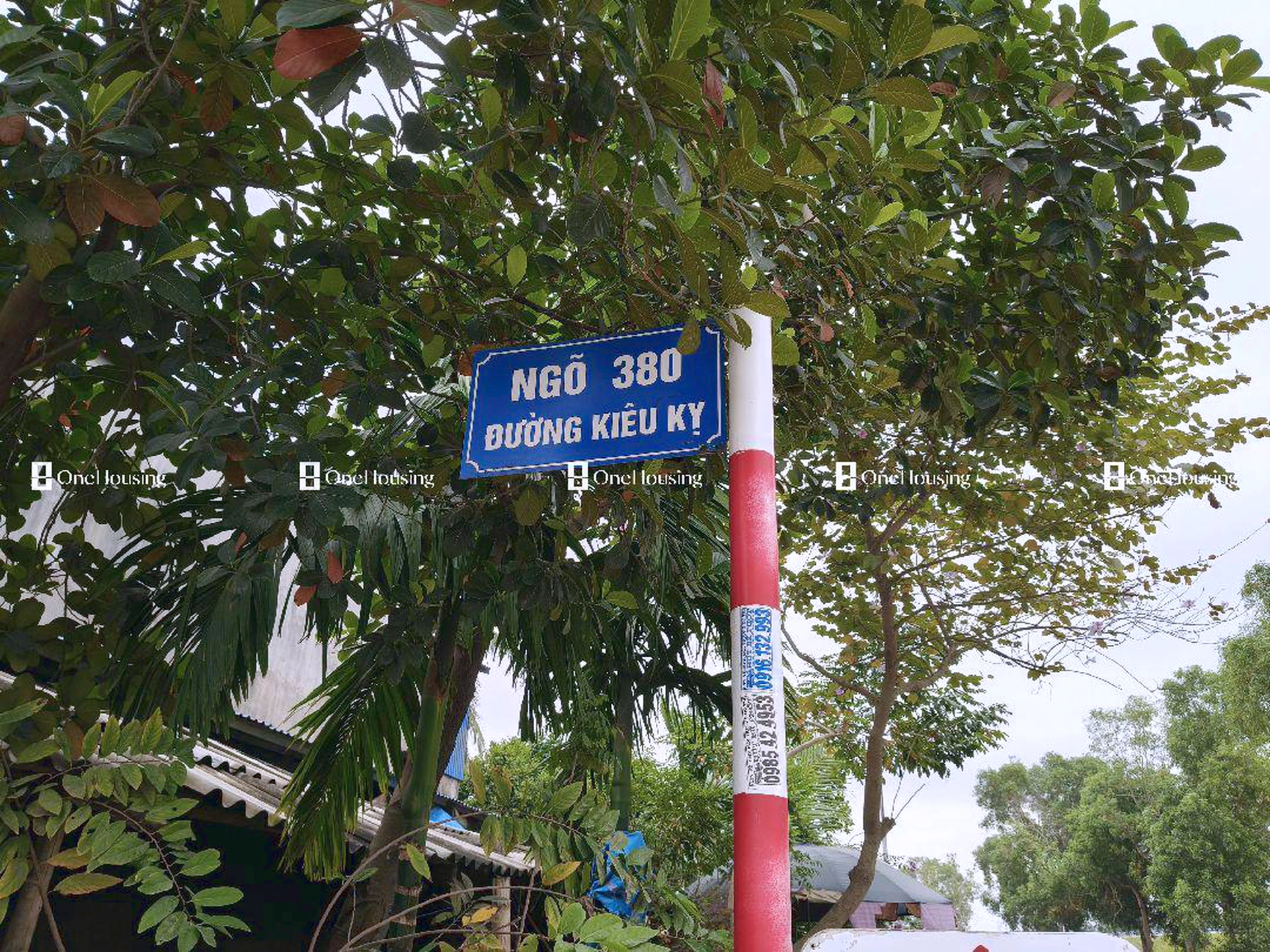 Đất nền cách Đường Kiêu Kỵ 30m, X. Kiêu Kỵ, H. Gia Lâm, TP. Hà Nội