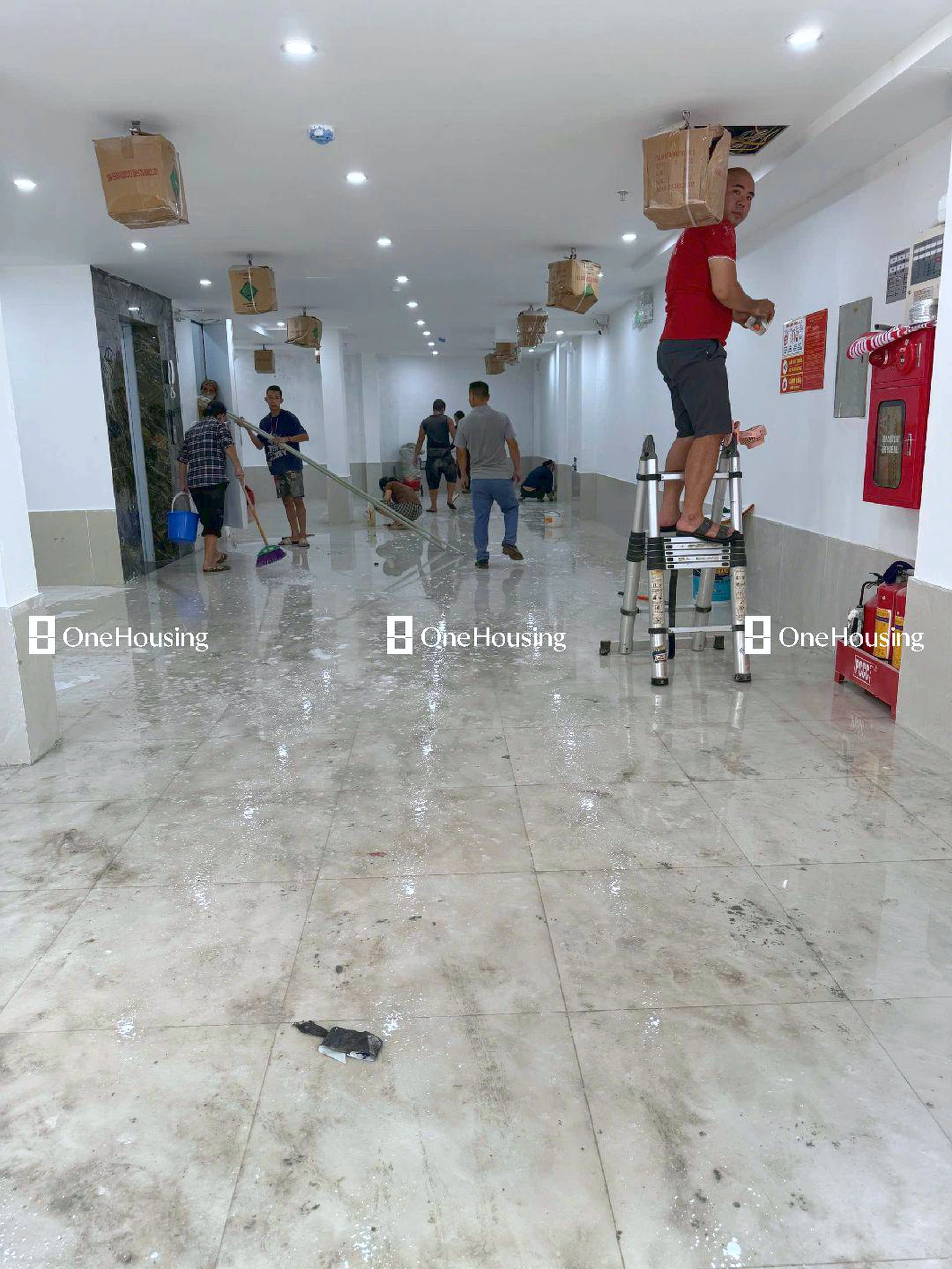 Onehousing image