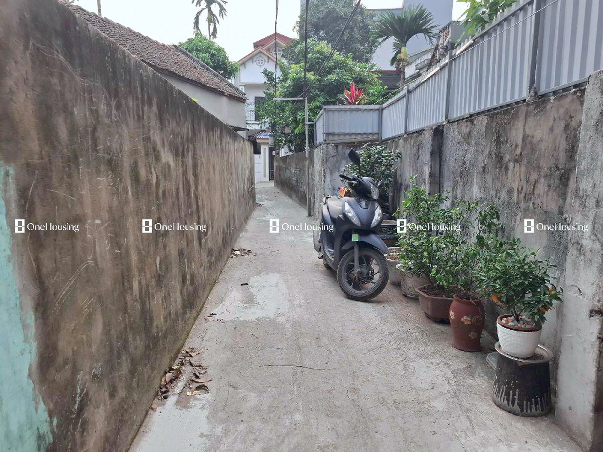 Nhà mặt ngõ cách Nguyễn Văn Linh 30m, P. Long Biên, Q. Long Biên, TP. Hà Nội