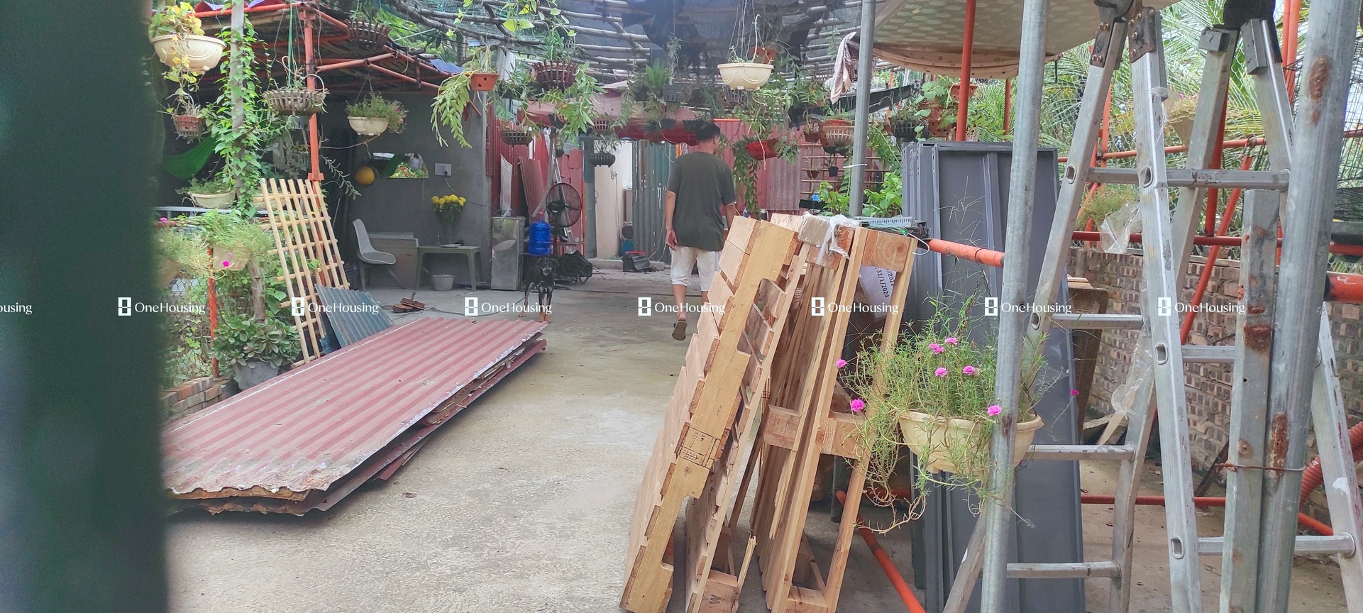 Nhà mặt ngõ cách Âu Cơ (đường gom chân đê) 50m, P. Nhật Tân, Q. Tây Hồ, TP. Hà Nội