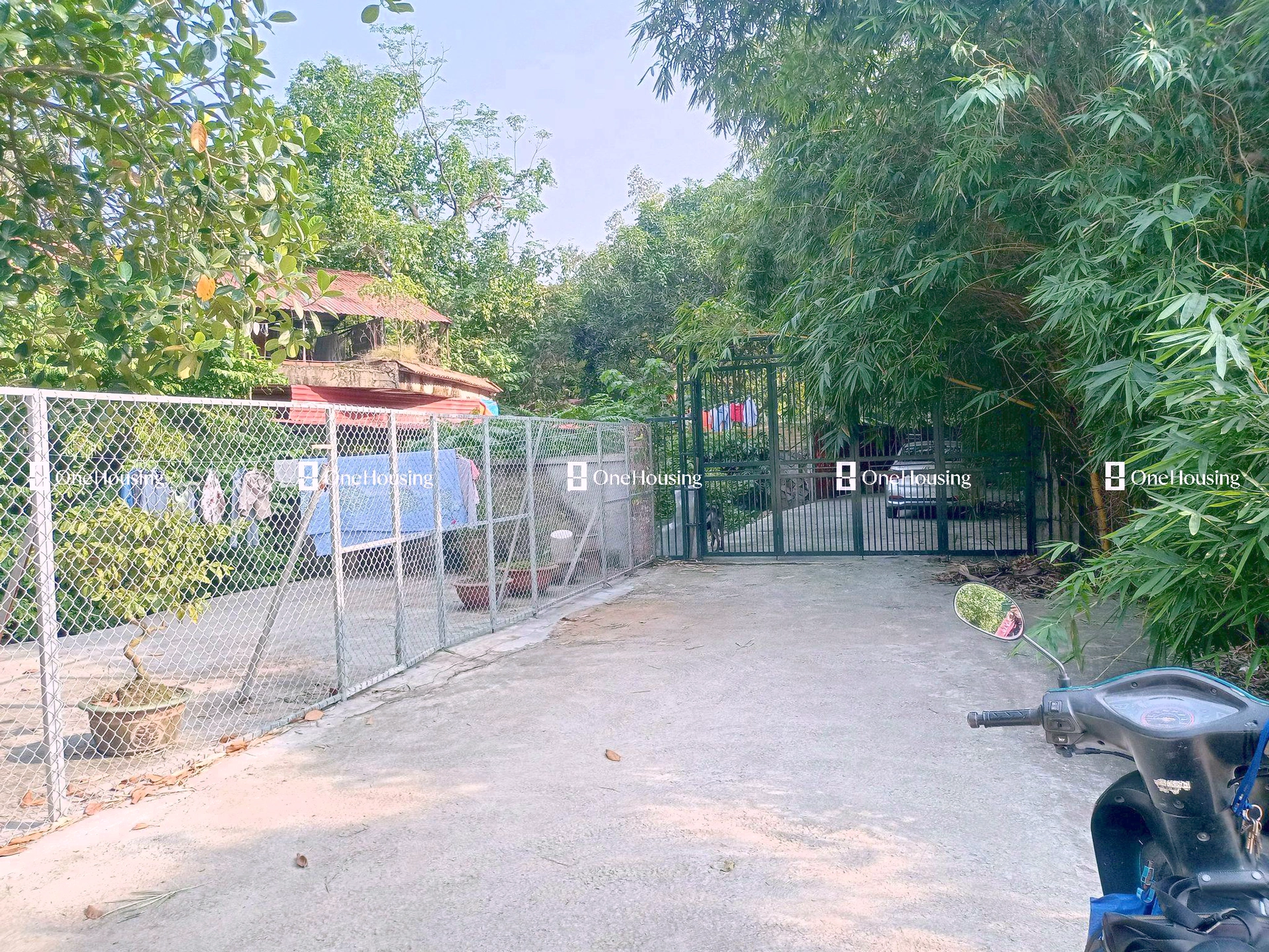 Nhà mặt ngõ cách Âu Cơ (đường gom chân đê) 50m, P. Nhật Tân, Q. Tây Hồ, TP. Hà Nội