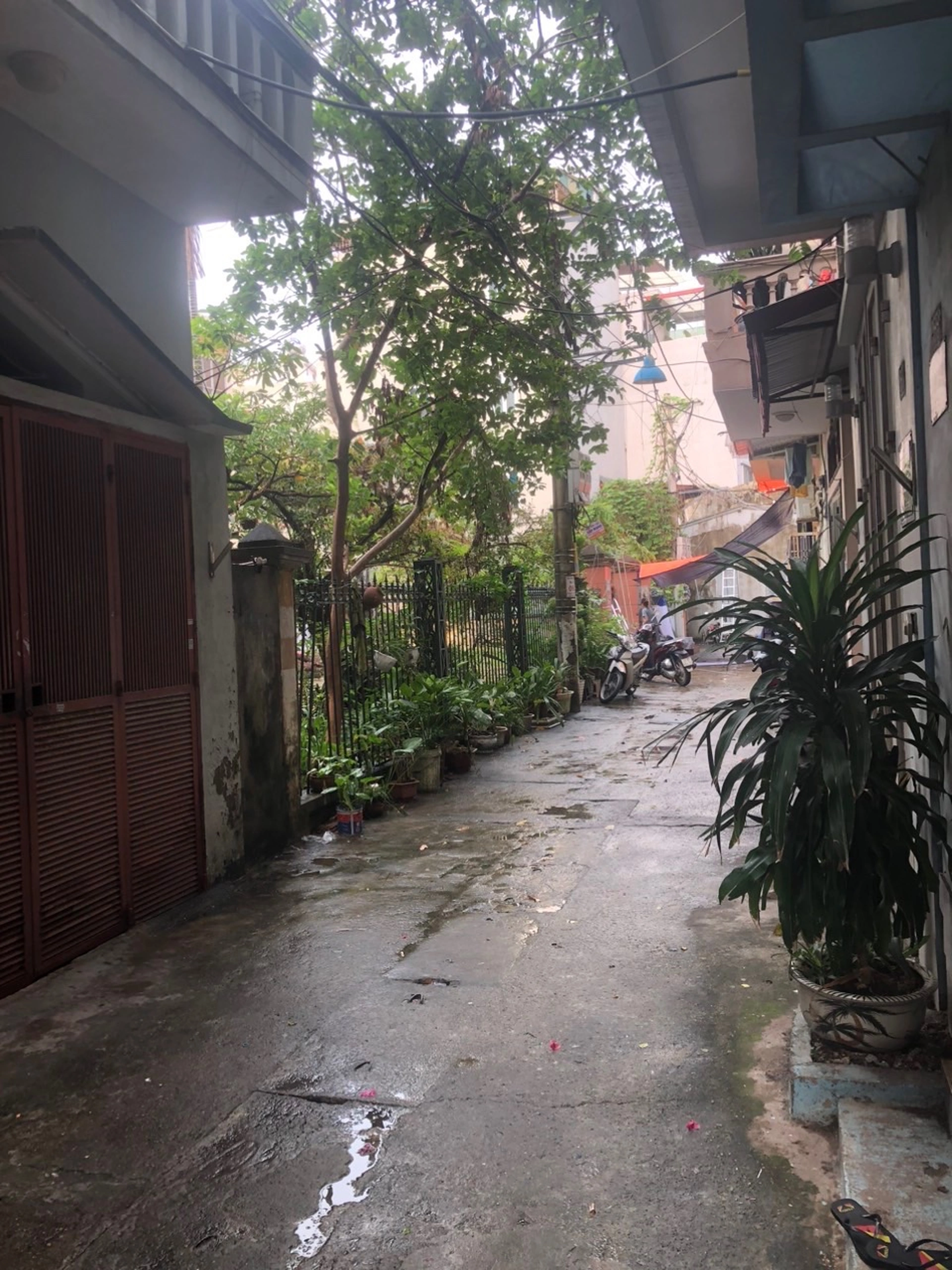 Nhà mặt ngõ cách Văn Phú 200m, P. Phú La, Q. Hà Đông, TP. Hà Nội