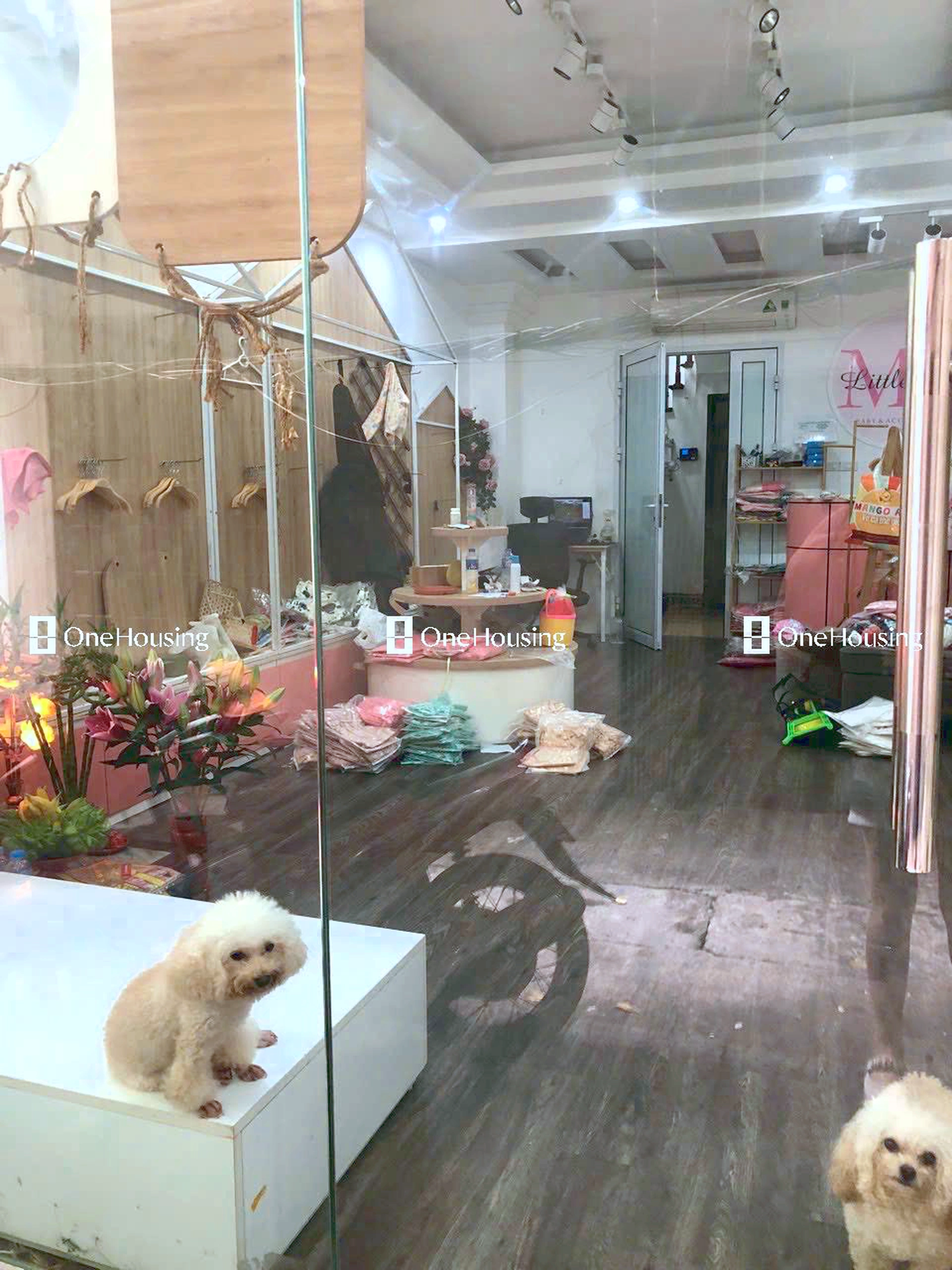 Nhà mặt ngõ cách Thái Hà 20m, P. Trung Liệt, Q. Đống Đa, TP. Hà Nội