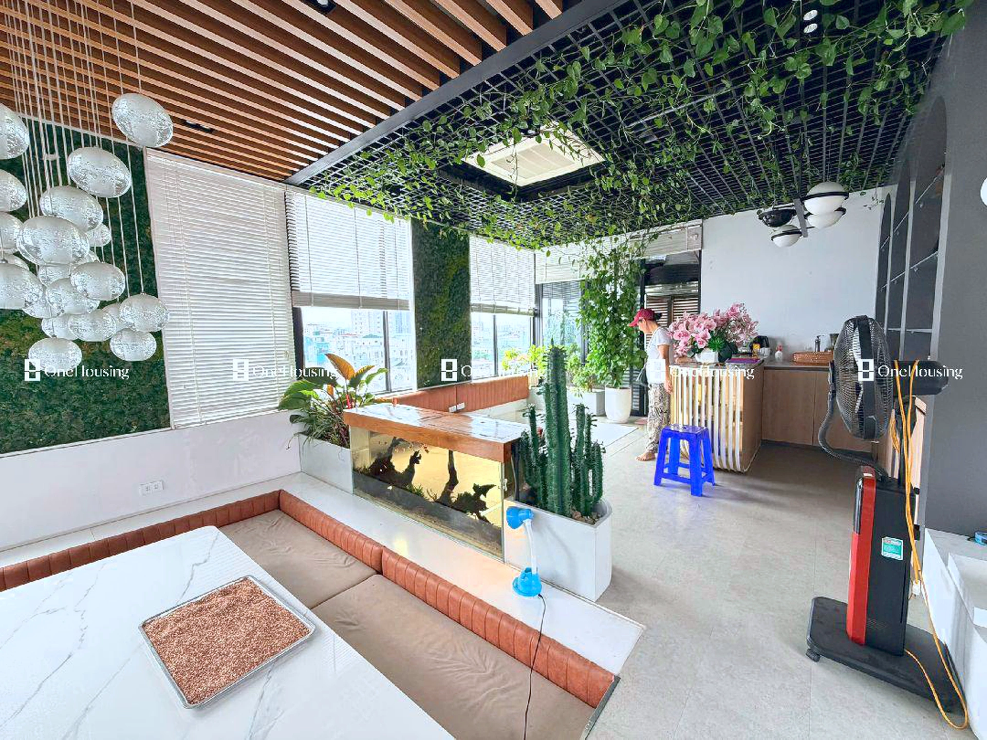 Nhà mặt ngõ cách Trần Tử Bình 23.83m, P. Nghĩa Tân, Q. Cầu Giấy, TP. Hà Nội