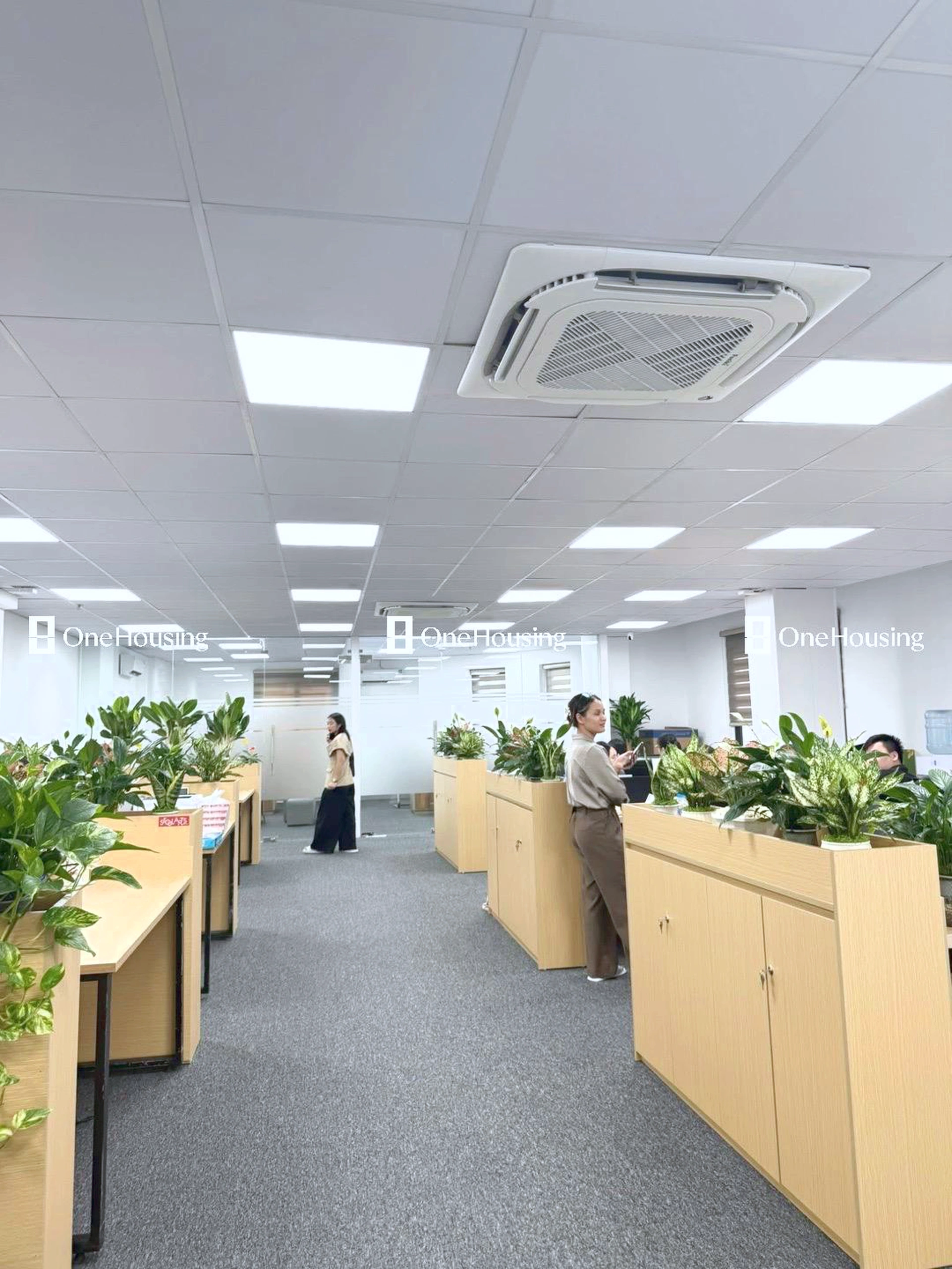 Nhà mặt ngõ cách Dương Khuê 50m, P. Mai Dịch, Q. Cầu Giấy, TP. Hà Nội