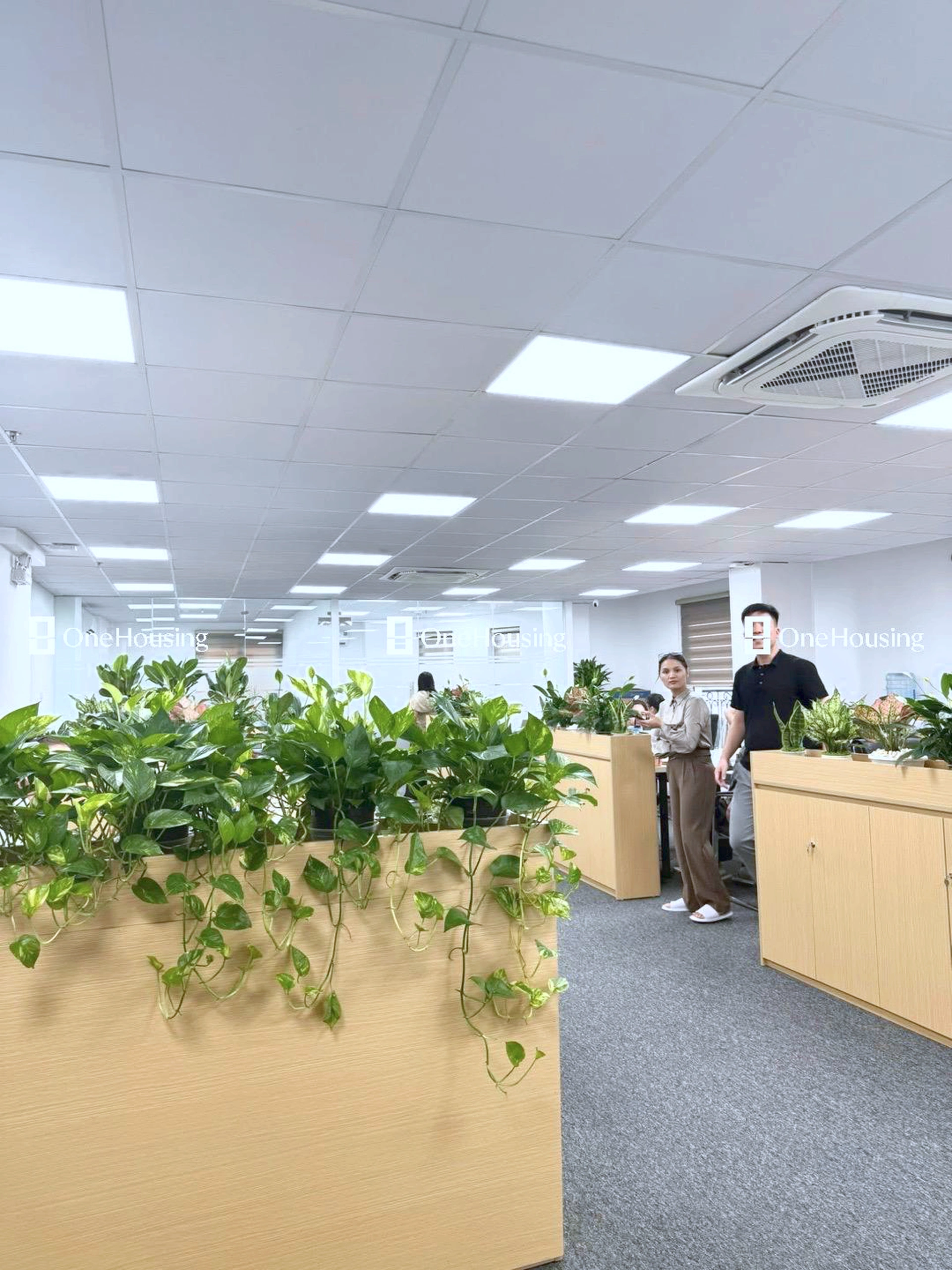 Nhà mặt ngõ cách Dương Khuê 50m, P. Mai Dịch, Q. Cầu Giấy, TP. Hà Nội