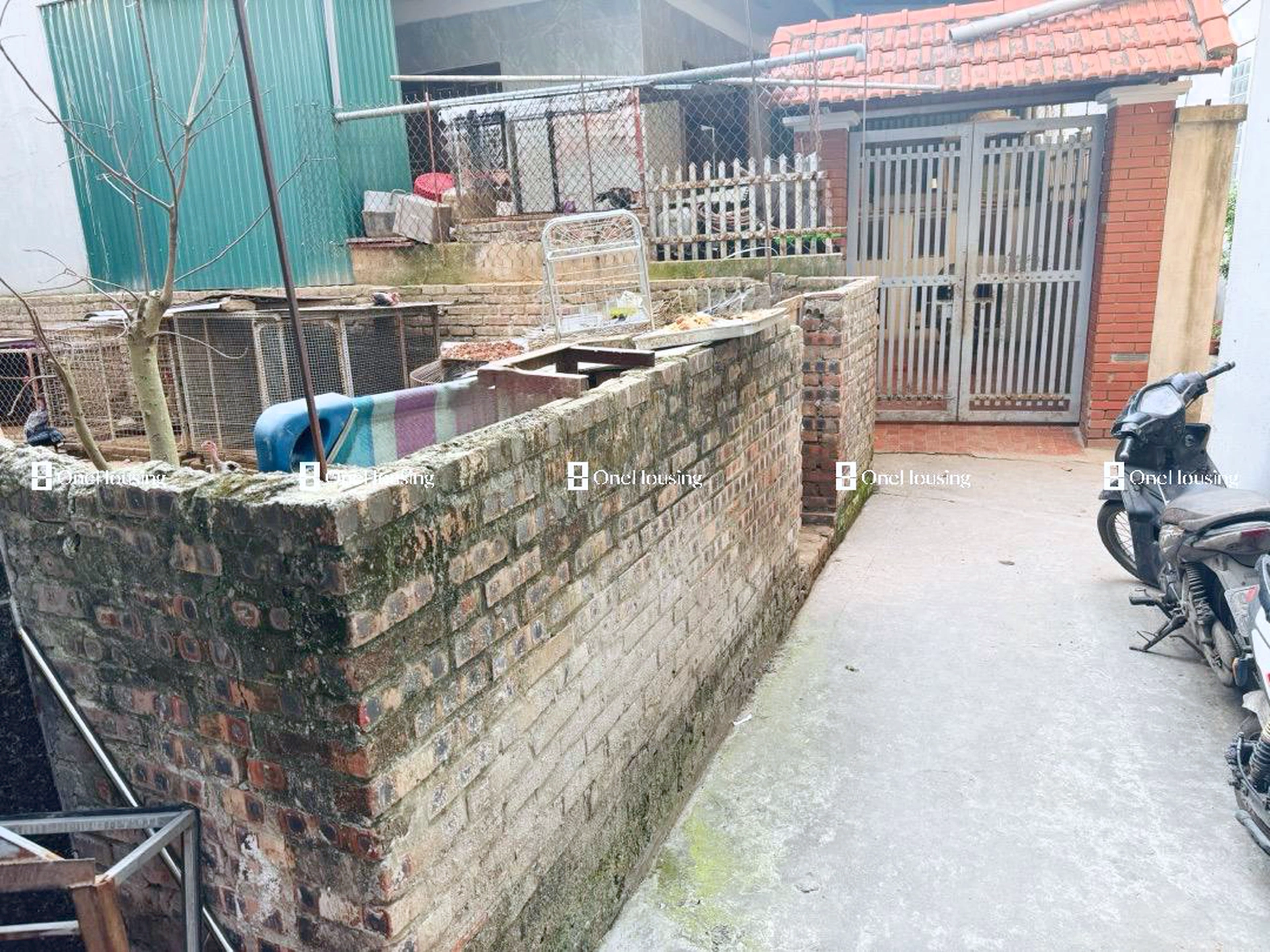 Đất nền cách Ô Cách 15m, P. Đức Giang, Q. Long Biên, TP. Hà Nội