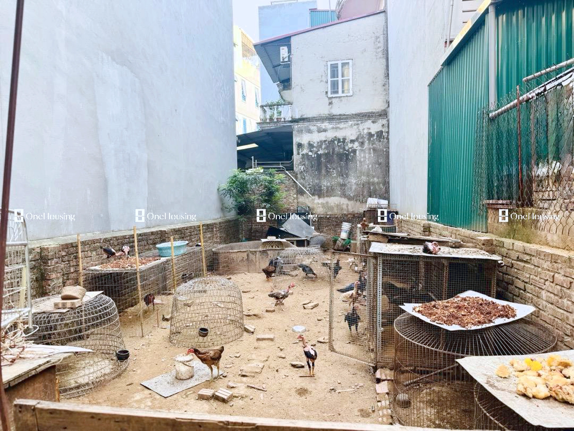 Đất nền cách Ô Cách 15m, P. Đức Giang, Q. Long Biên, TP. Hà Nội