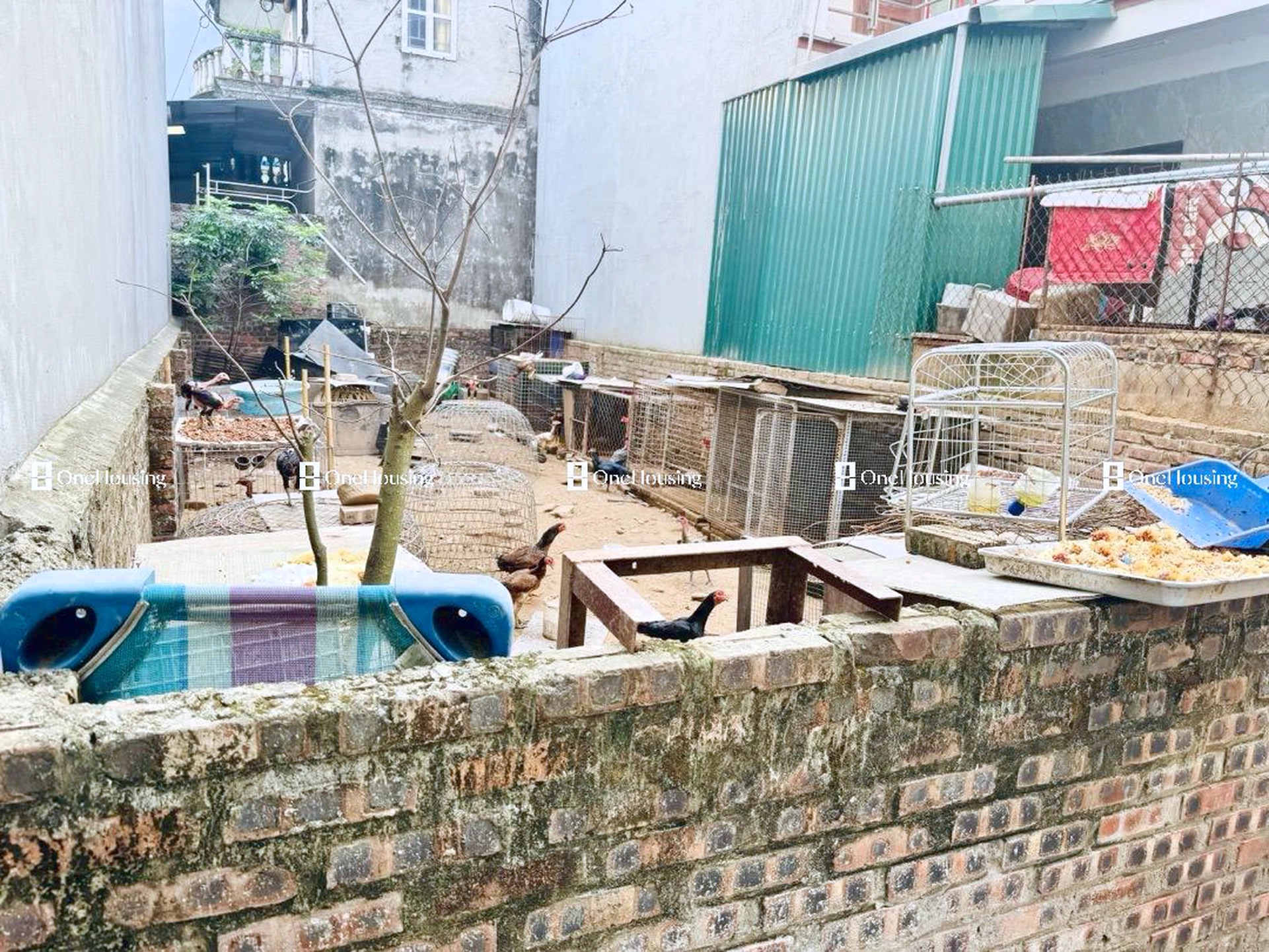 Đất nền cách Ô Cách 15m, P. Đức Giang, Q. Long Biên, TP. Hà Nội