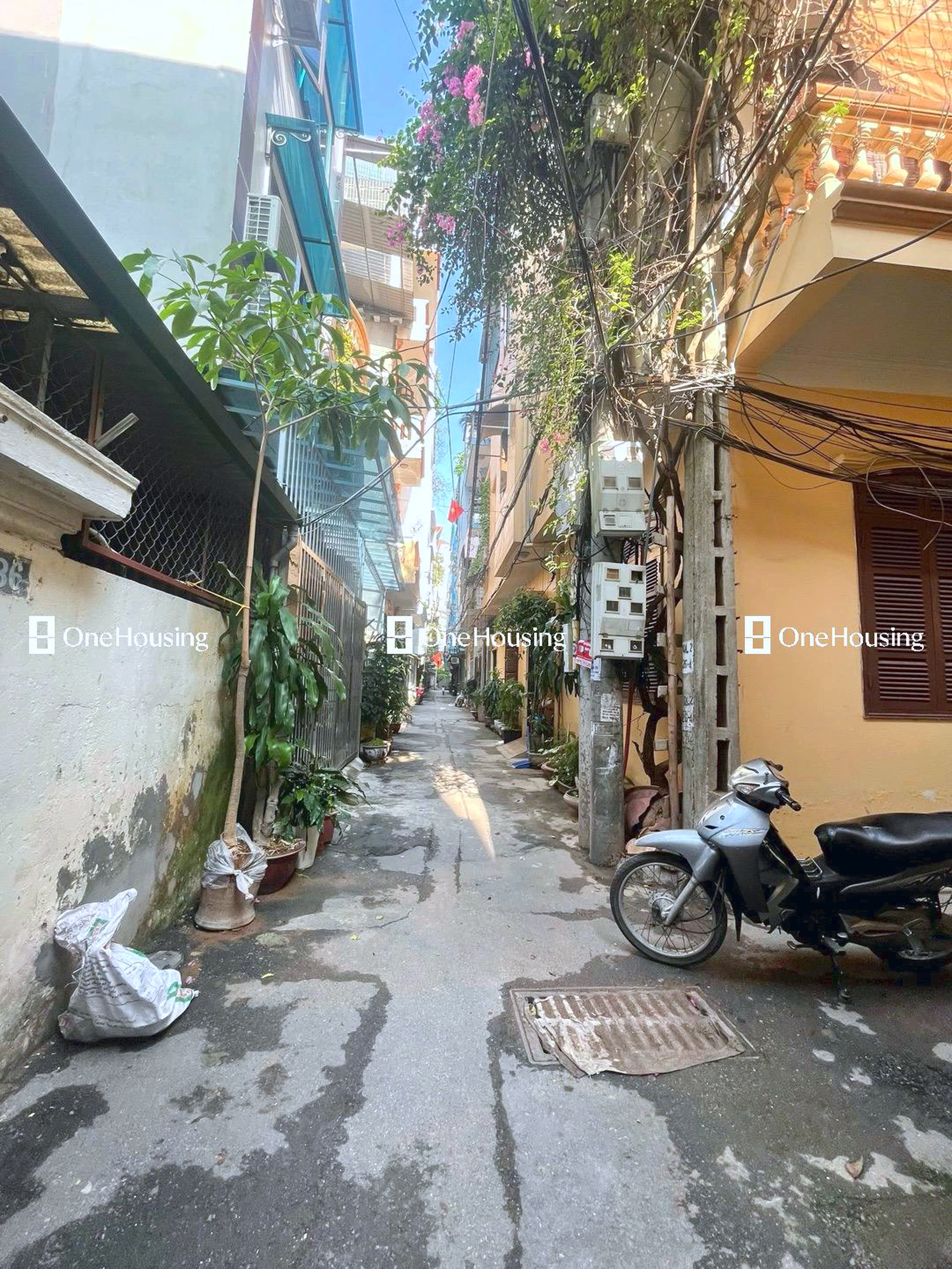 Nhà mặt ngõ cách Nguyễn Hoàng Tôn 80m, P. Phú Thượng, Q. Tây Hồ, TP. Hà Nội