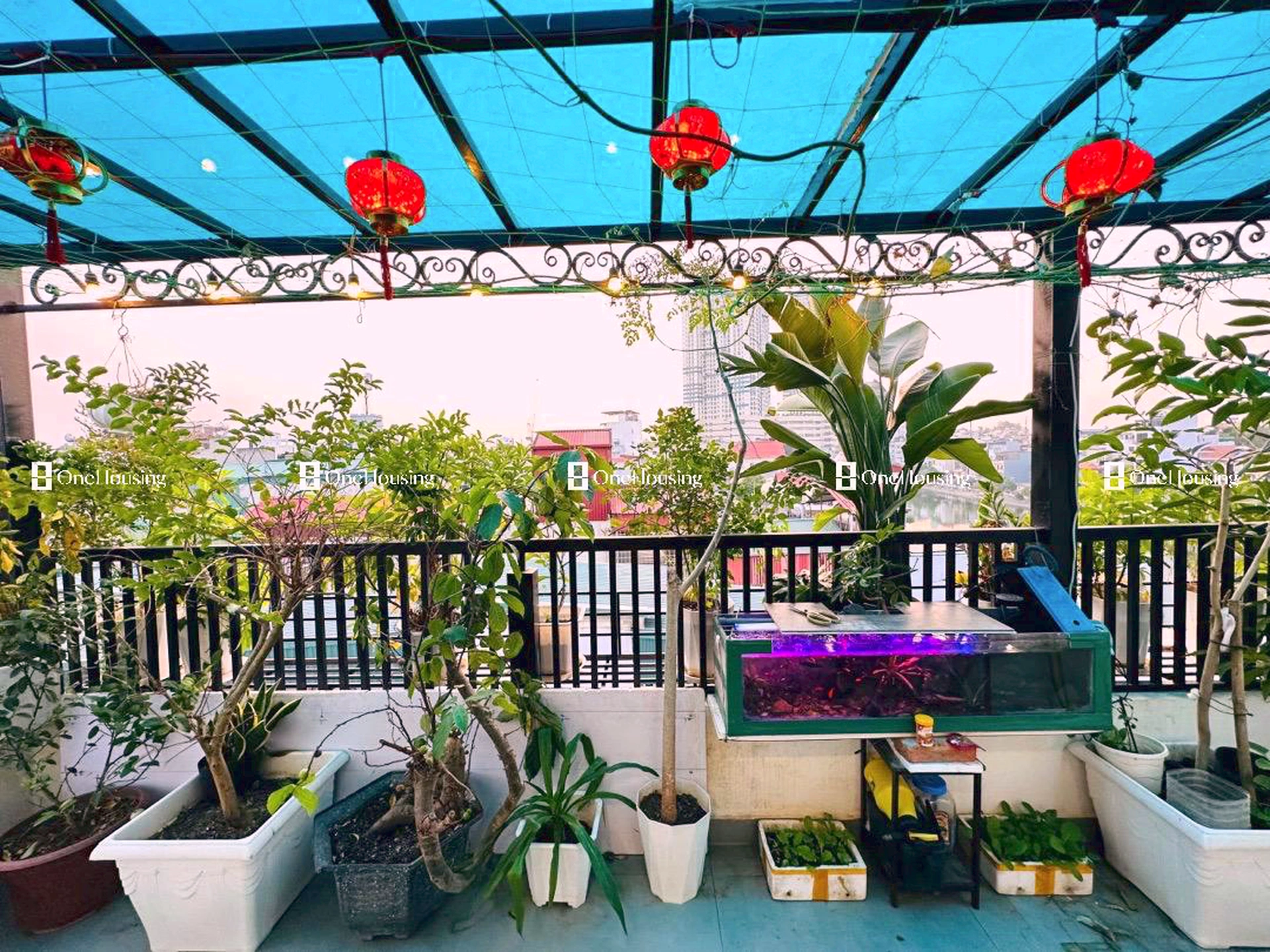 Nhà mặt ngõ cách Ngọc Lâm 10m, P. Bồ Đề, Q. Long Biên, TP. Hà Nội