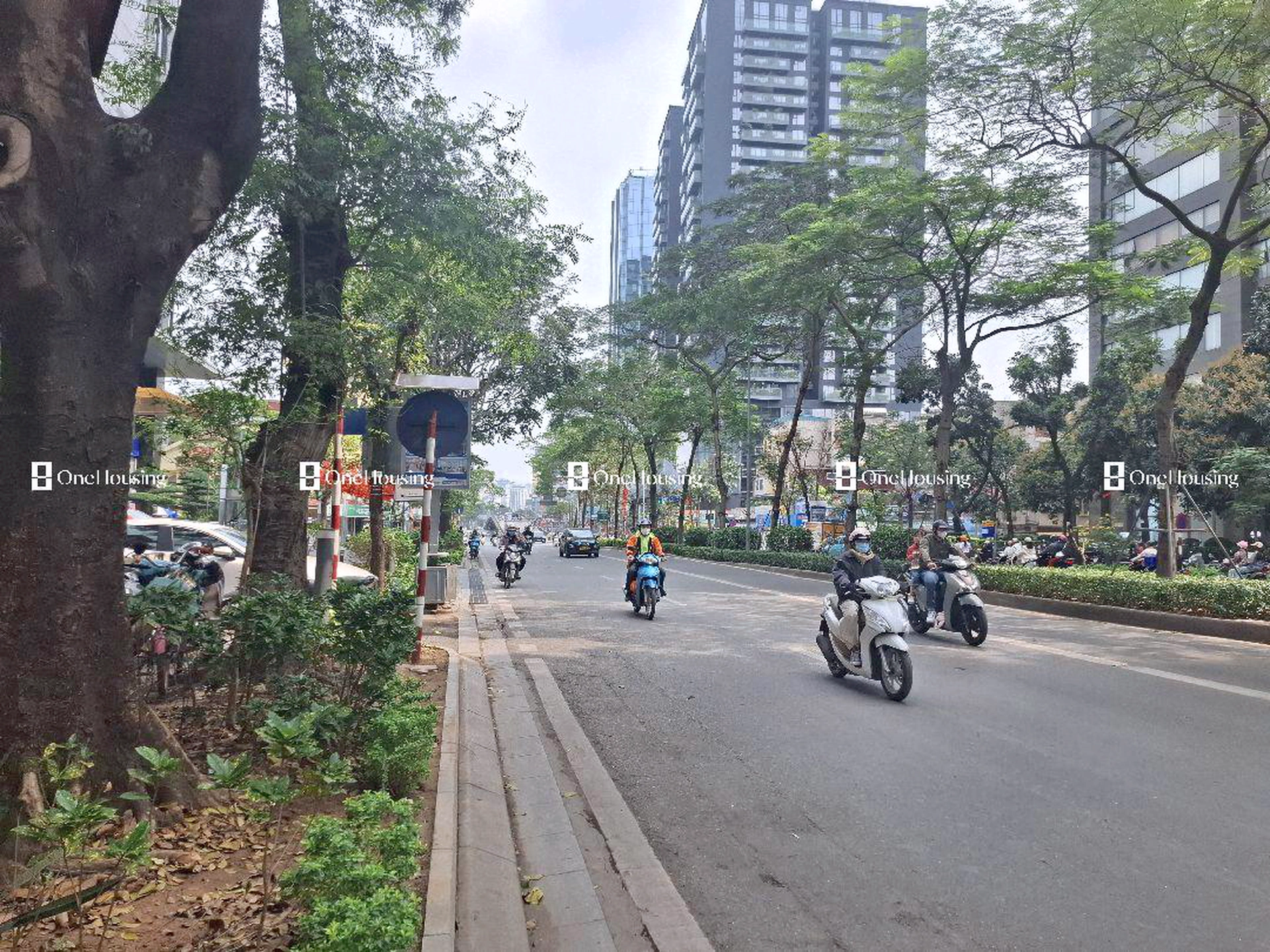 Nhà mặt phố Láng Hạ, P. Láng Hạ, Q. Đống Đa, TP. Hà Nội