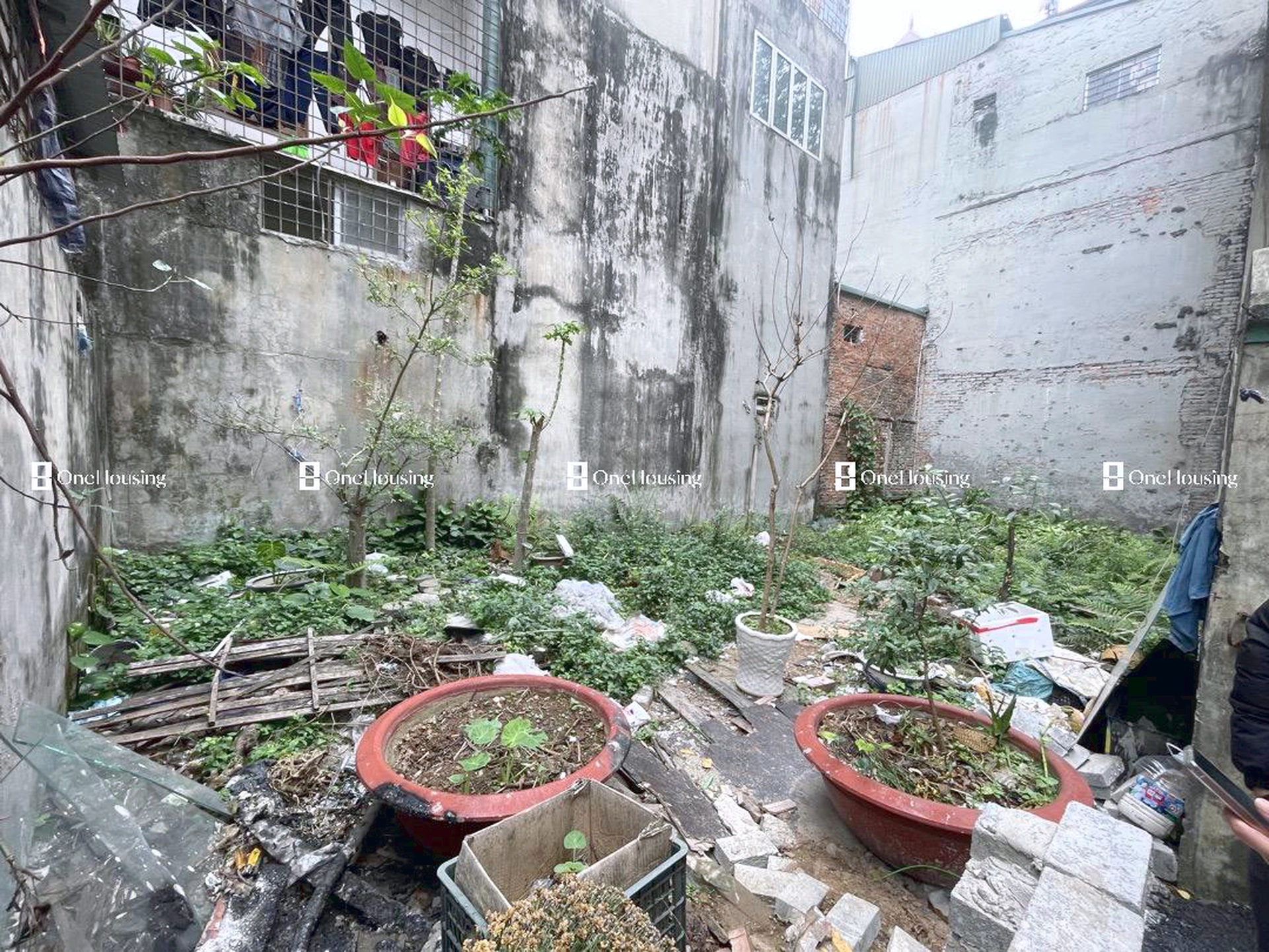 Đất nền cách Lương Thế Vinh 50m, P. Trung Văn, Q. Nam Từ Liêm, TP. Hà Nội