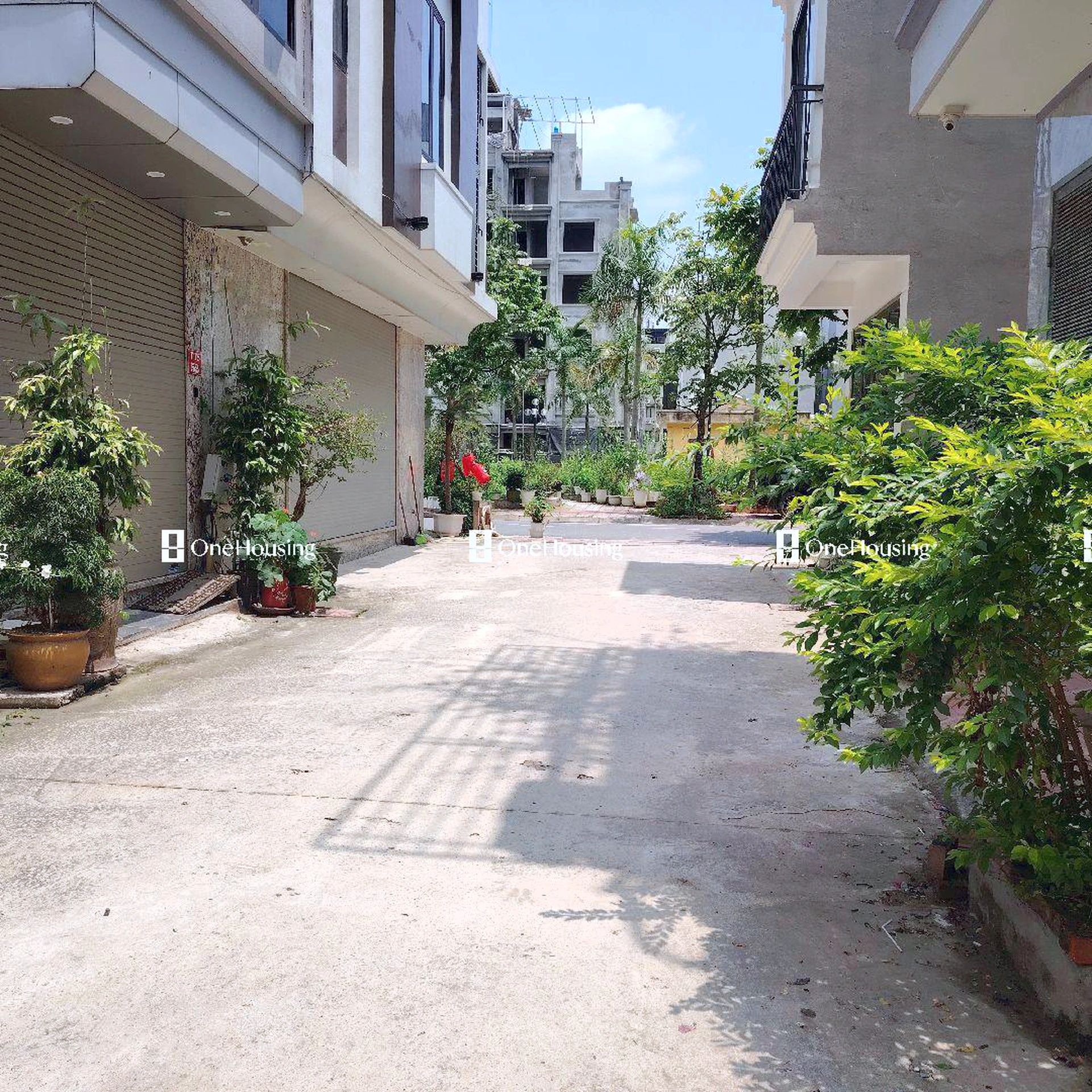 Đất nền cách Ngọc Thụy (mặt đê và đường gom chân đê) 100m, P. Bồ Đề, Q. Long Biên, TP. Hà Nội