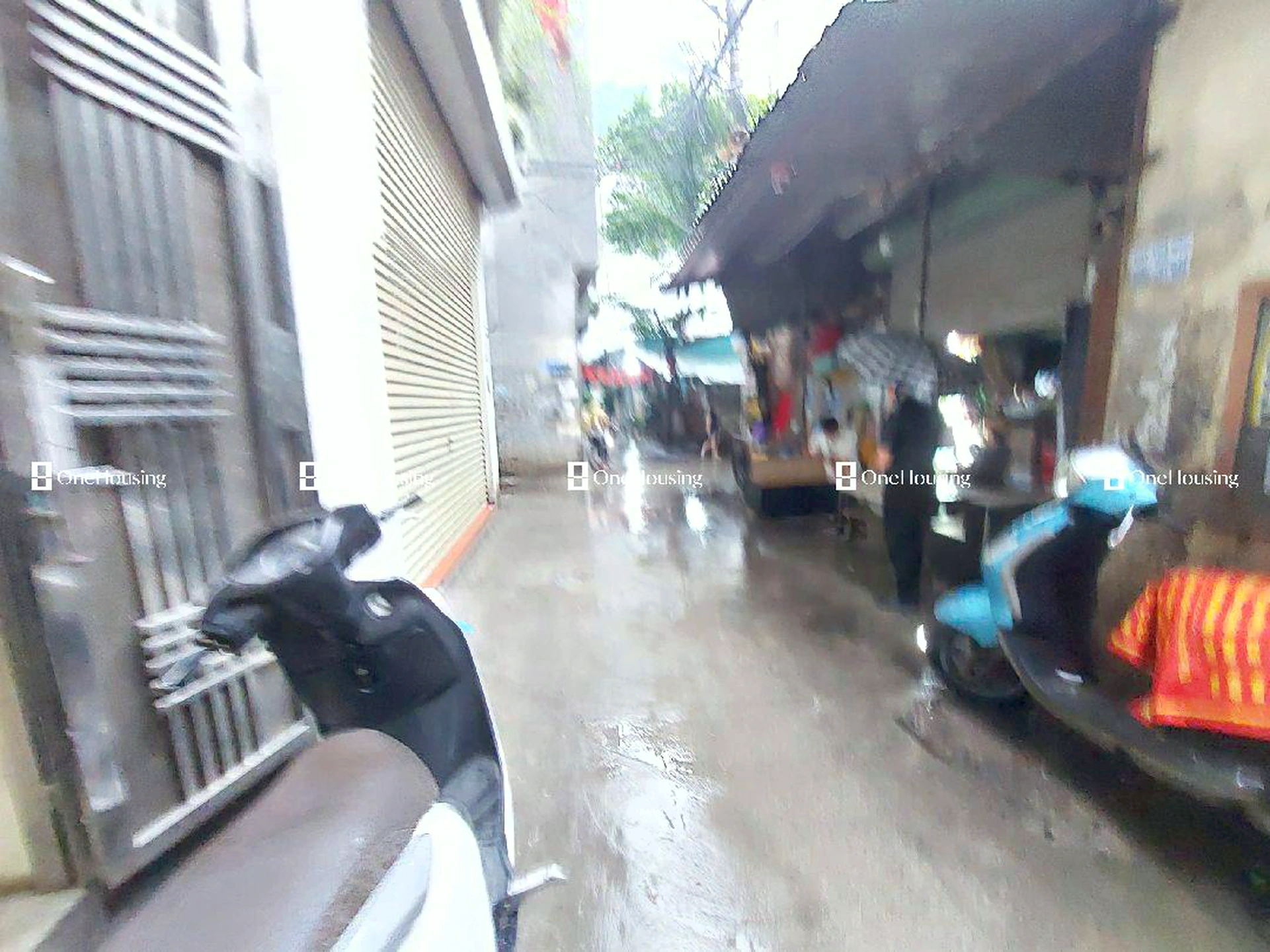 Nhà mặt ngõ cách Quan Hoa 40m, P. Dịch Vọng, Q. Cầu Giấy, TP. Hà Nội