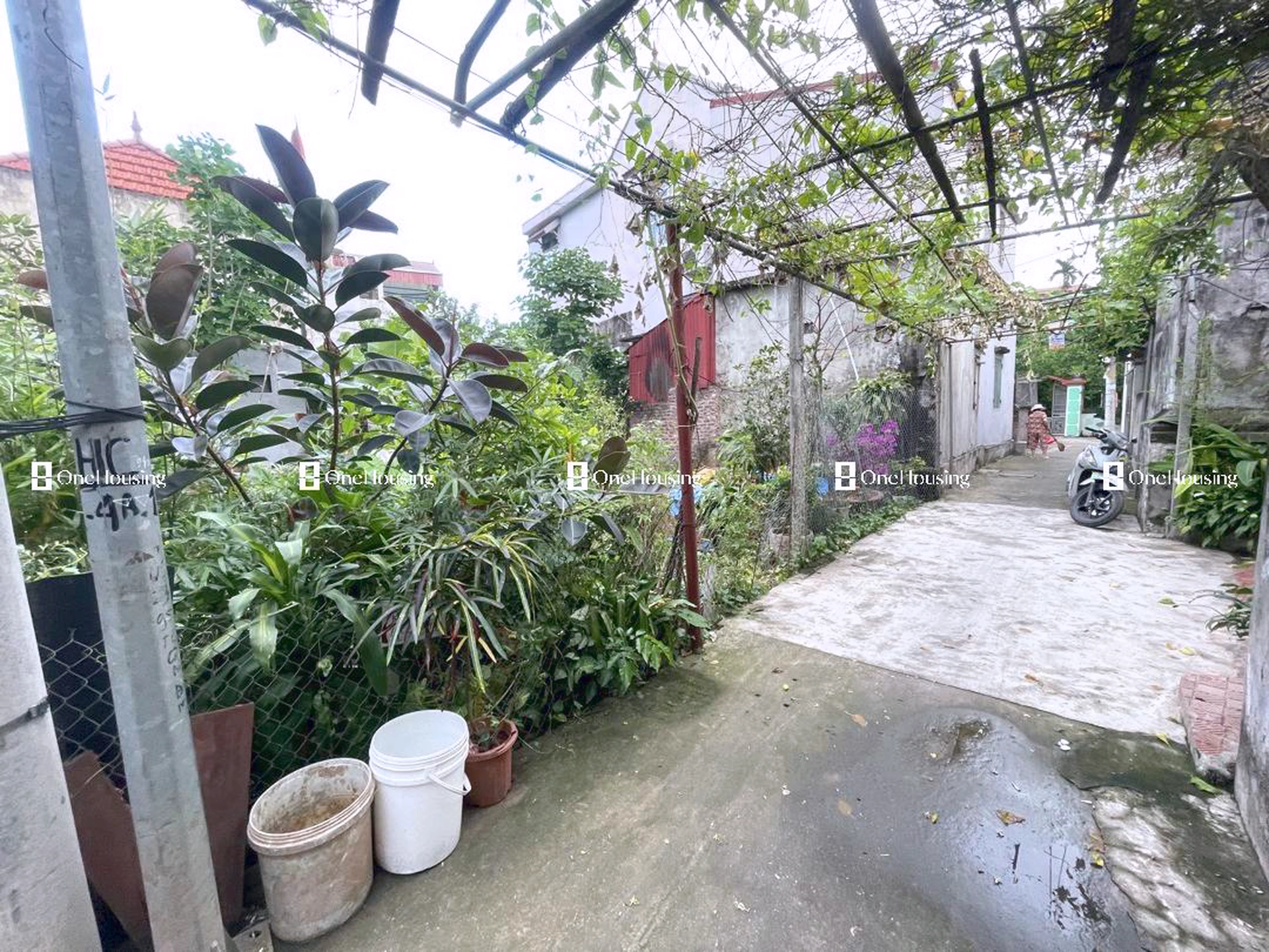 Đất nền cách Thượng Cát 200m, P. Thượng Cát, Q. Bắc Từ Liêm, TP. Hà Nội