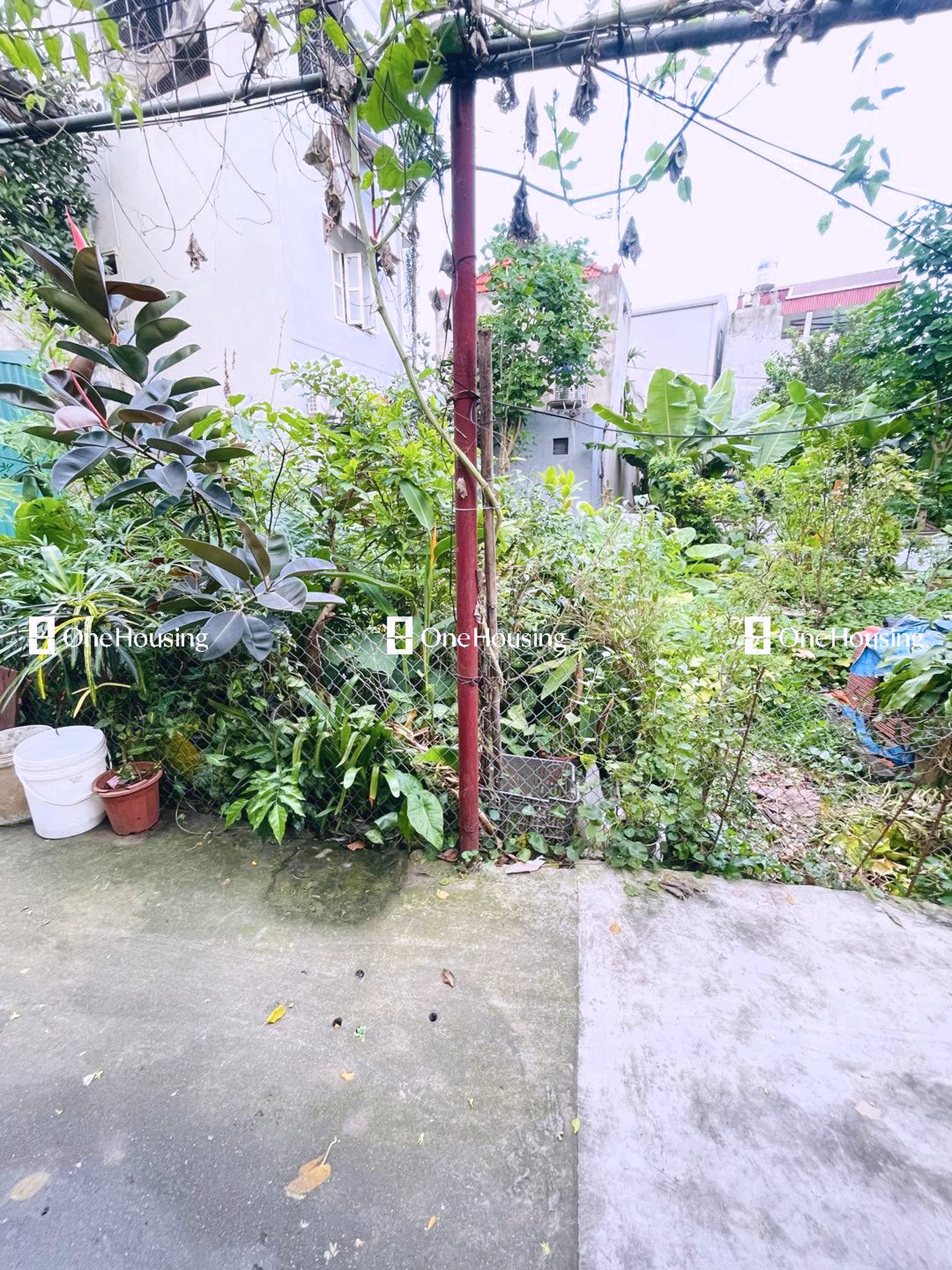 Đất nền cách Thượng Cát 200m, P. Thượng Cát, Q. Bắc Từ Liêm, TP. Hà Nội