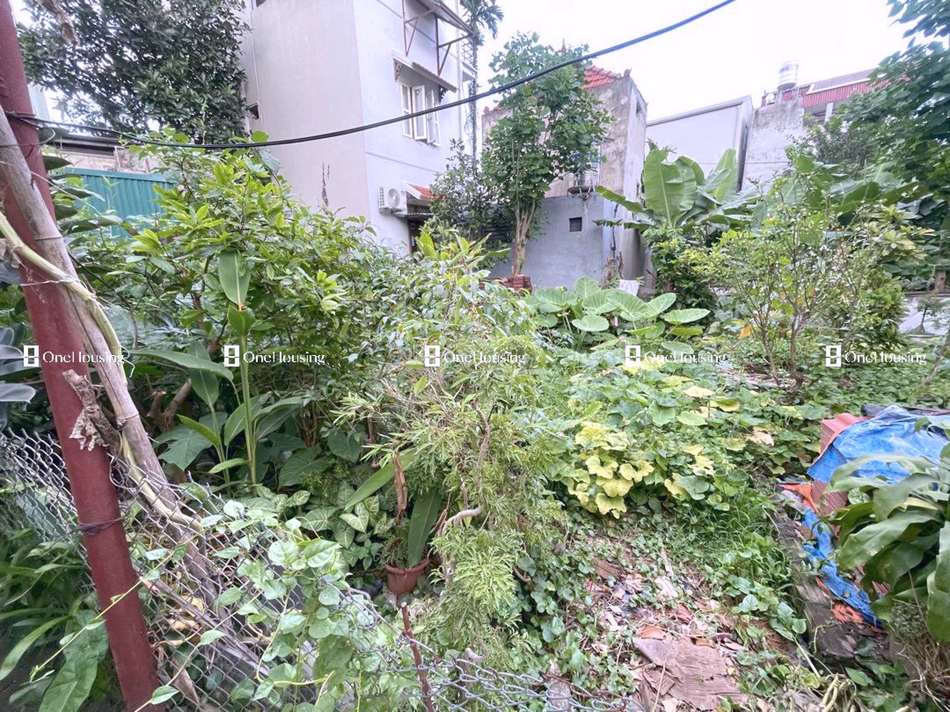 Đất nền cách Thượng Cát 200m, P. Thượng Cát, Q. Bắc Từ Liêm, TP. Hà Nội
