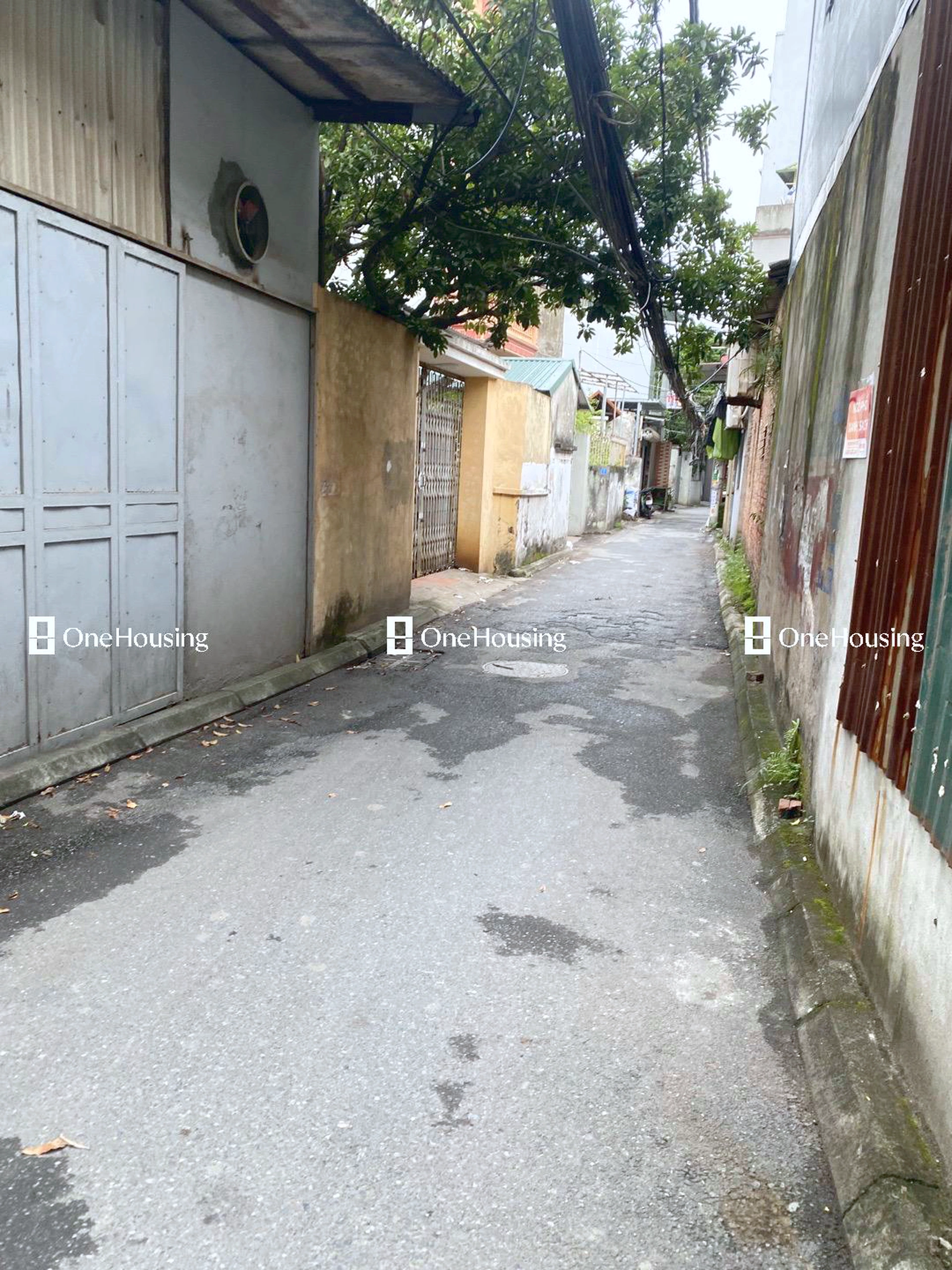 Nhà mặt ngõ cách Bát Khối (Mặt đê sông Hồng) 25m, P. Long Biên, Q. Long Biên, TP. Hà Nội