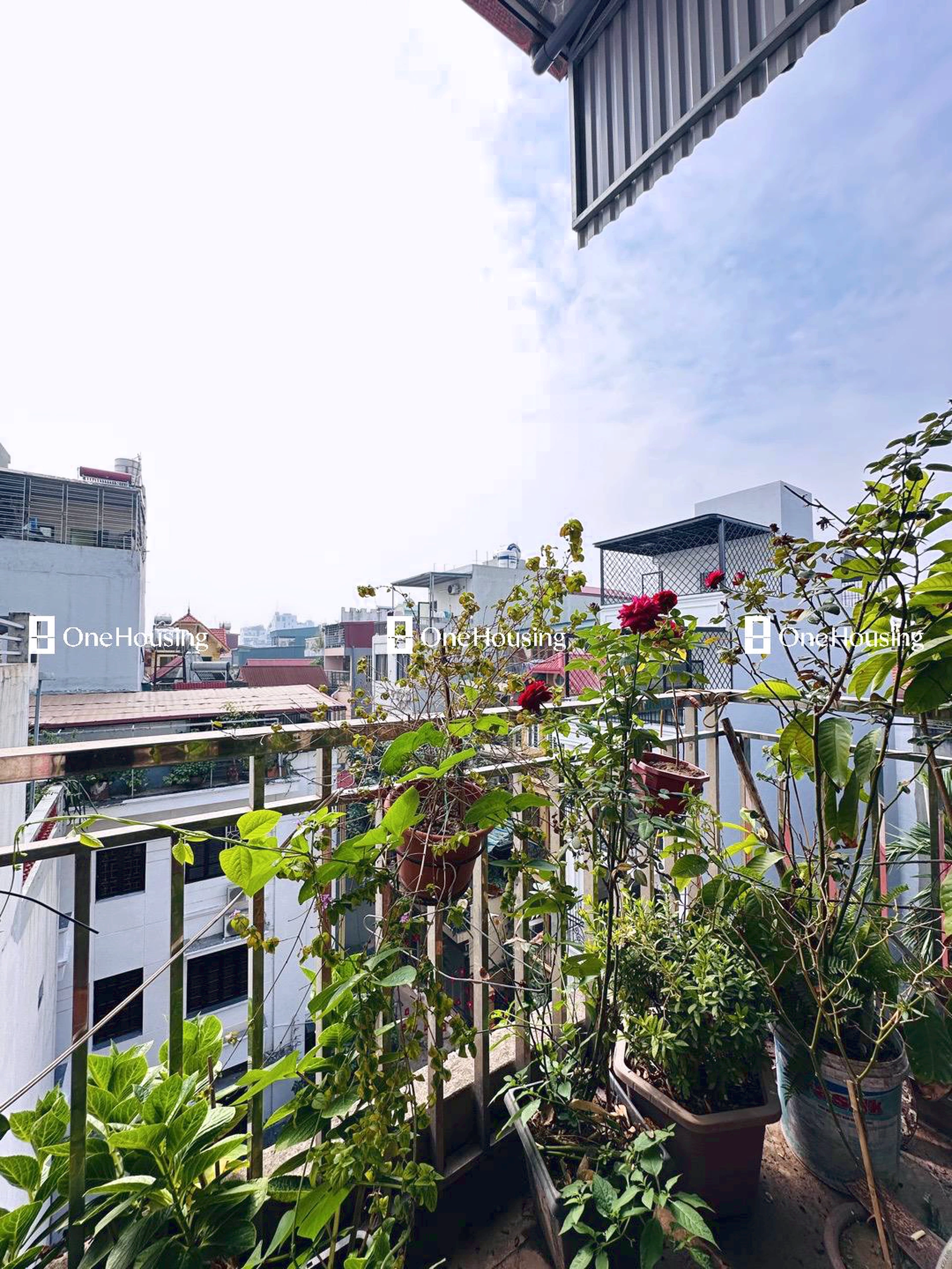 Nhà mặt ngõ cách Ngọc Lâm 100m, P. Ngọc Lâm, Q. Long Biên, TP. Hà Nội