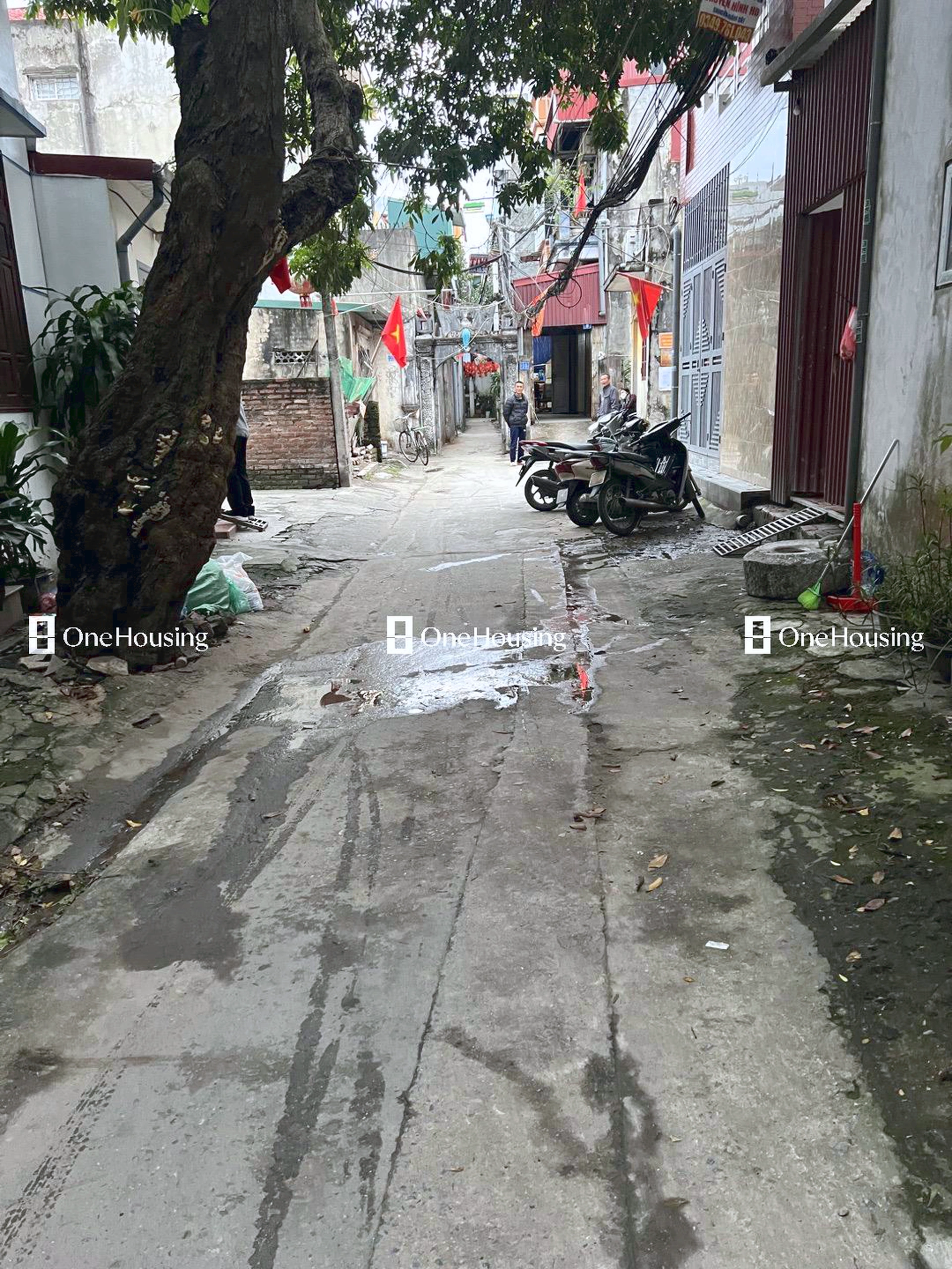 Nhà mặt ngõ cách Đường đê Nguyễn Khoái (Ngoài đê) 100m, P. Thanh Trì, Q. Hoàng Mai, TP. Hà Nội