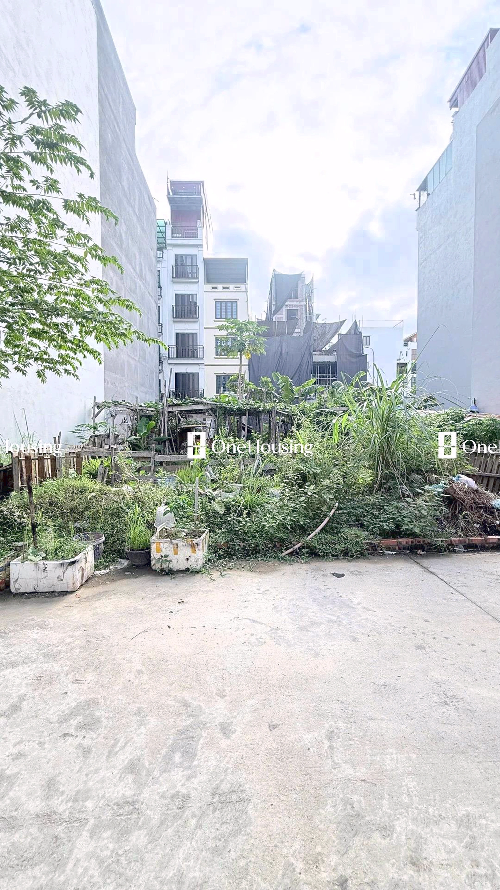 Đất nền cách Ngọc Thụy (mặt đê và đường gom chân đê) 100m, P. Bồ Đề, Q. Long Biên, TP. Hà Nội