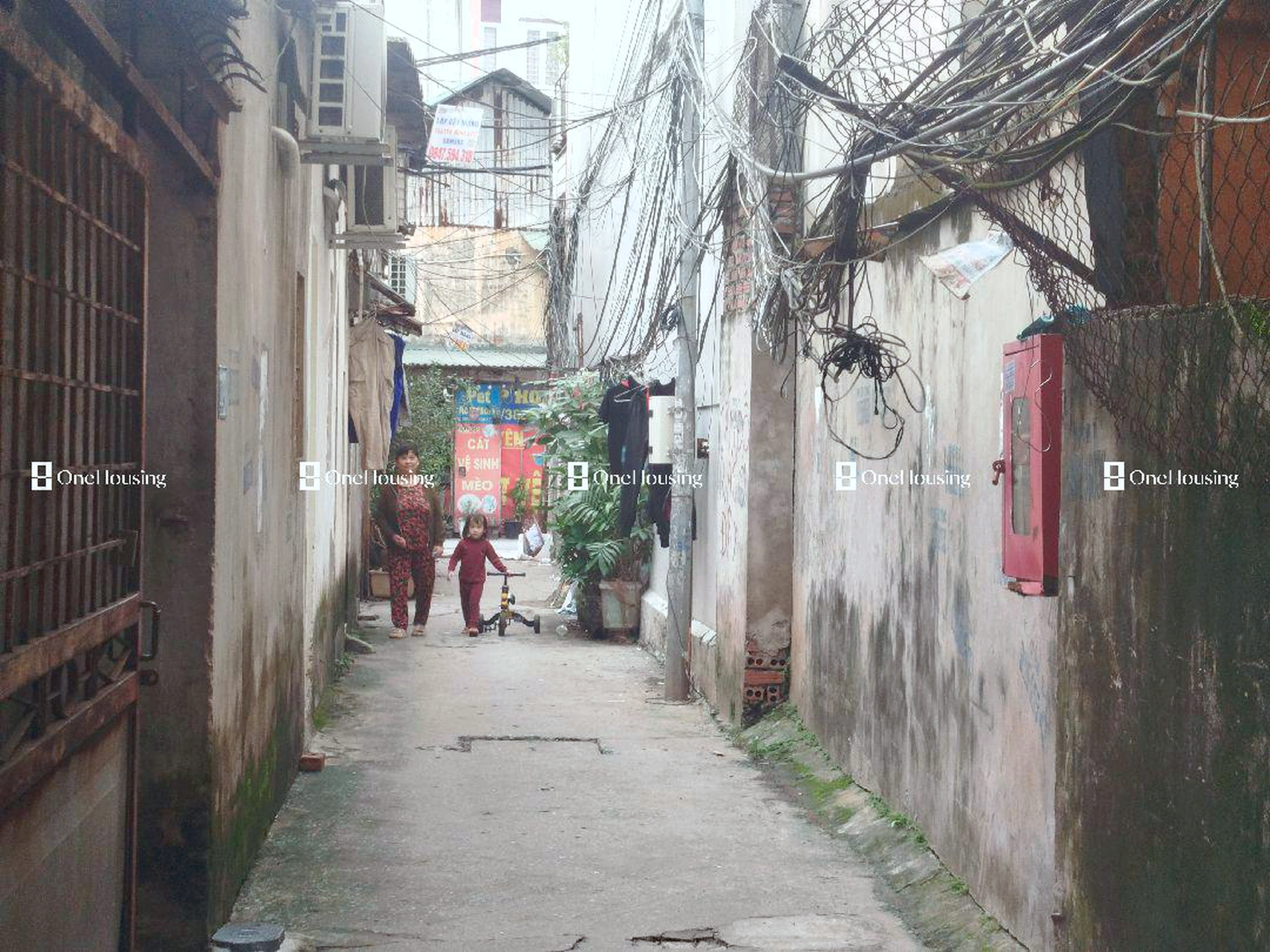 Đất nền cách Tứ Liên 50m, P. Yên Phụ, Q. Tây Hồ, TP. Hà Nội