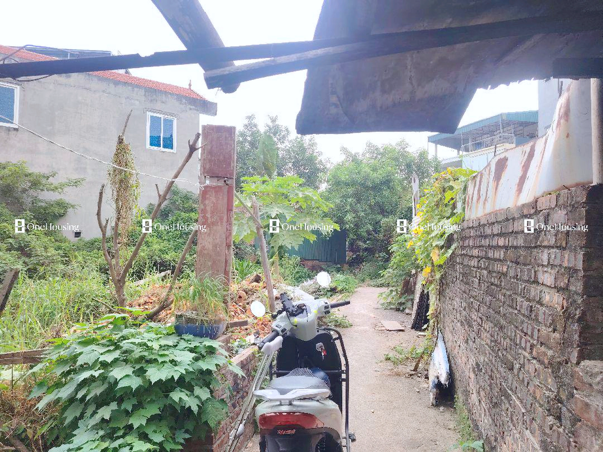 Đất nền cách Nguyễn Văn Linh 60m, P. Long Biên, Q. Long Biên, TP. Hà Nội