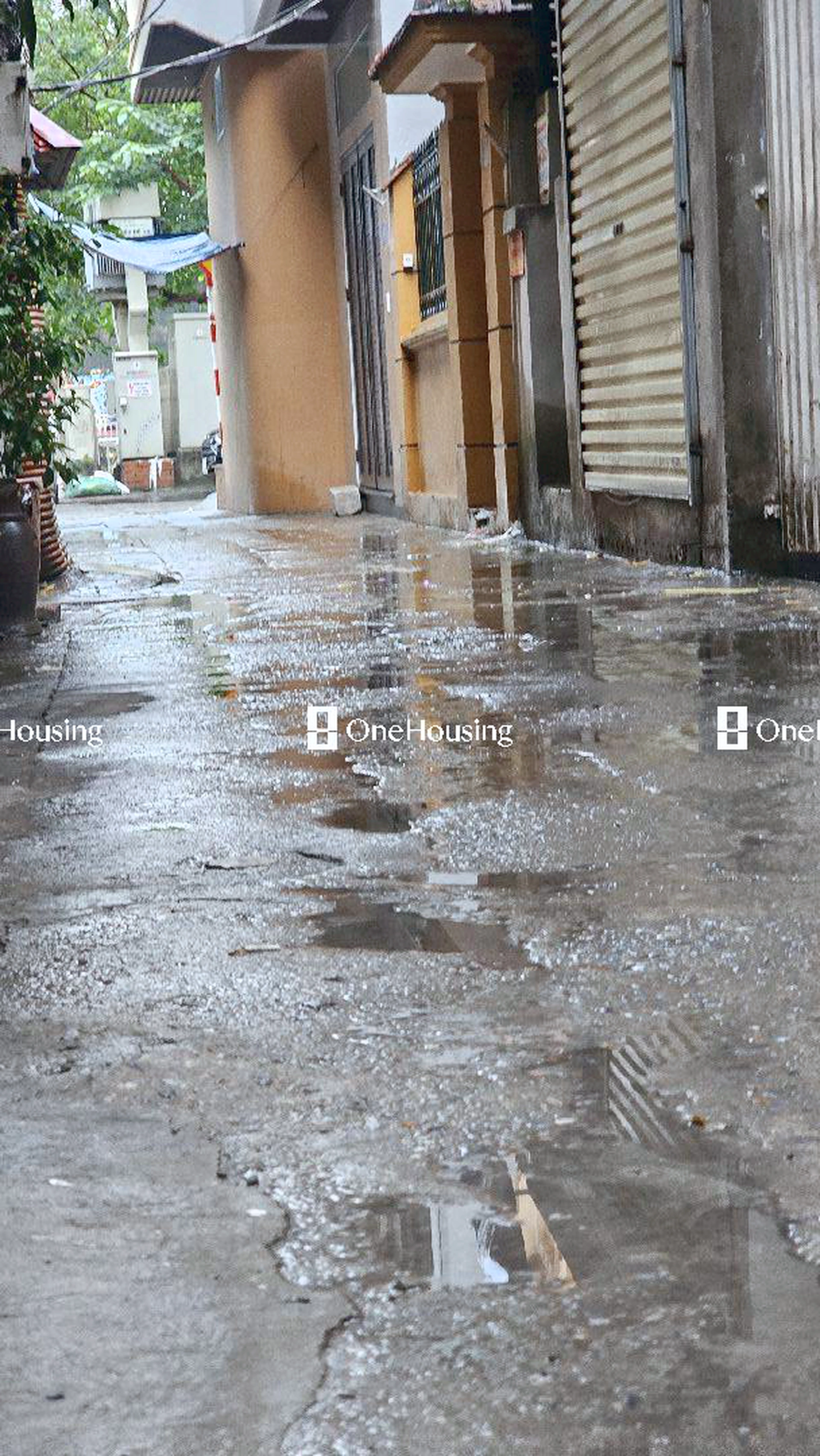 Nhà mặt ngõ cách Nguyễn Đình Hoàn 20m, P. Nghĩa Đô, Q. Cầu Giấy, TP. Hà Nội