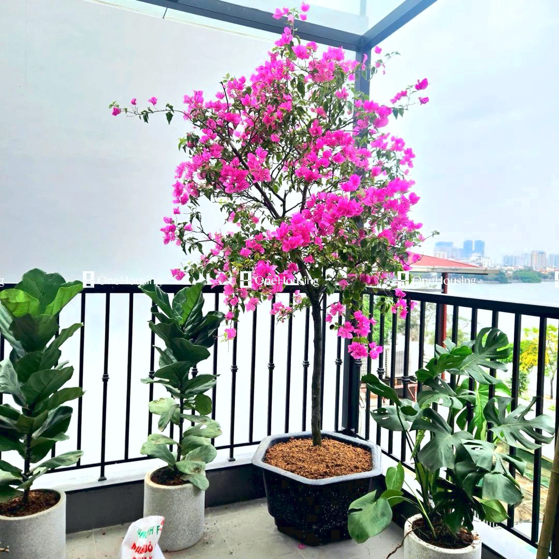 Nhà mặt ngõ cách Thụy Khuê 10m, P. Thụy Khuê, Q. Tây Hồ, TP. Hà Nội