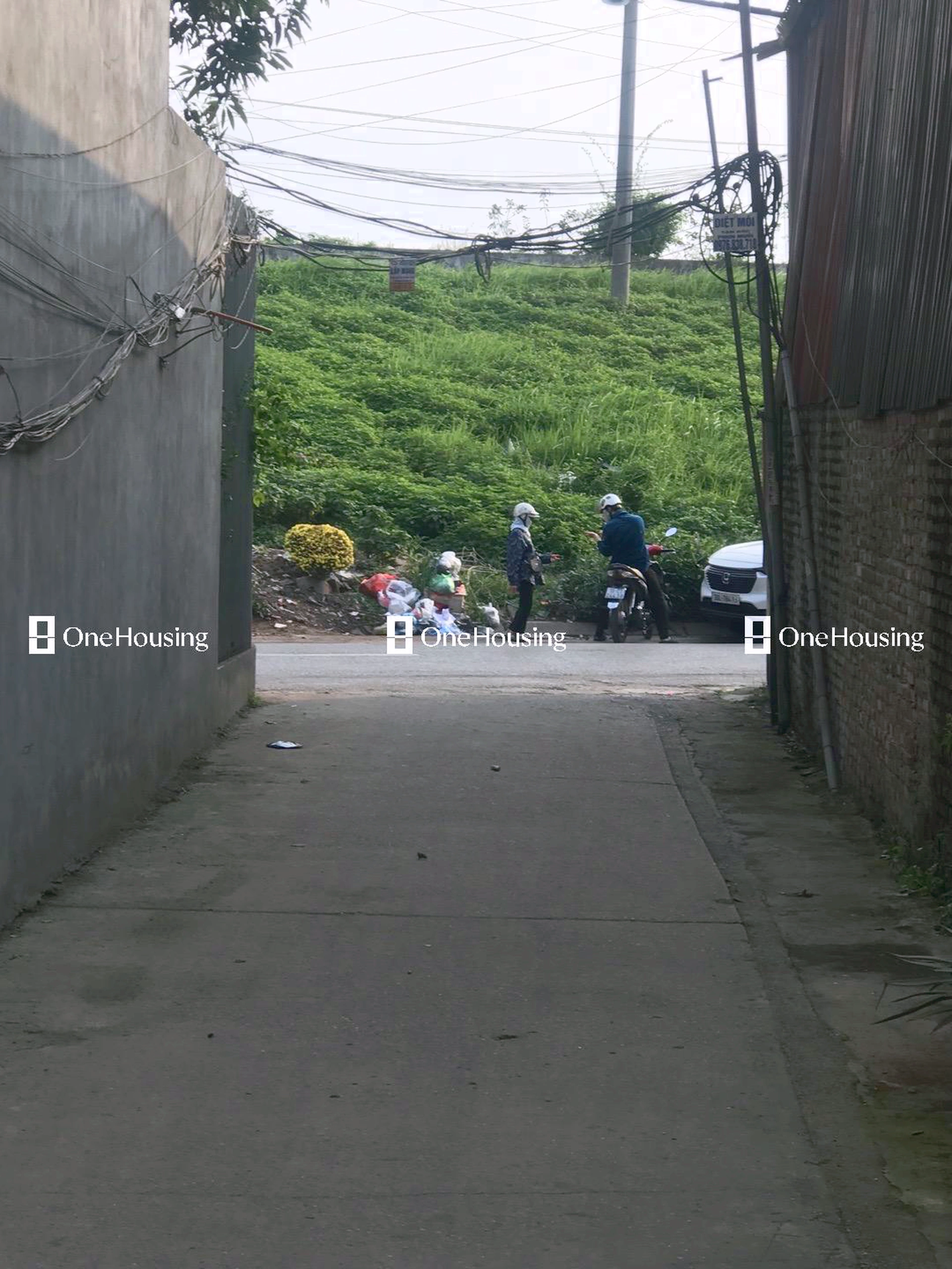 Đất nền cách Bát Khối (Mặt đê sông Hồng) 10m, P. Long Biên, Q. Long Biên, TP. Hà Nội