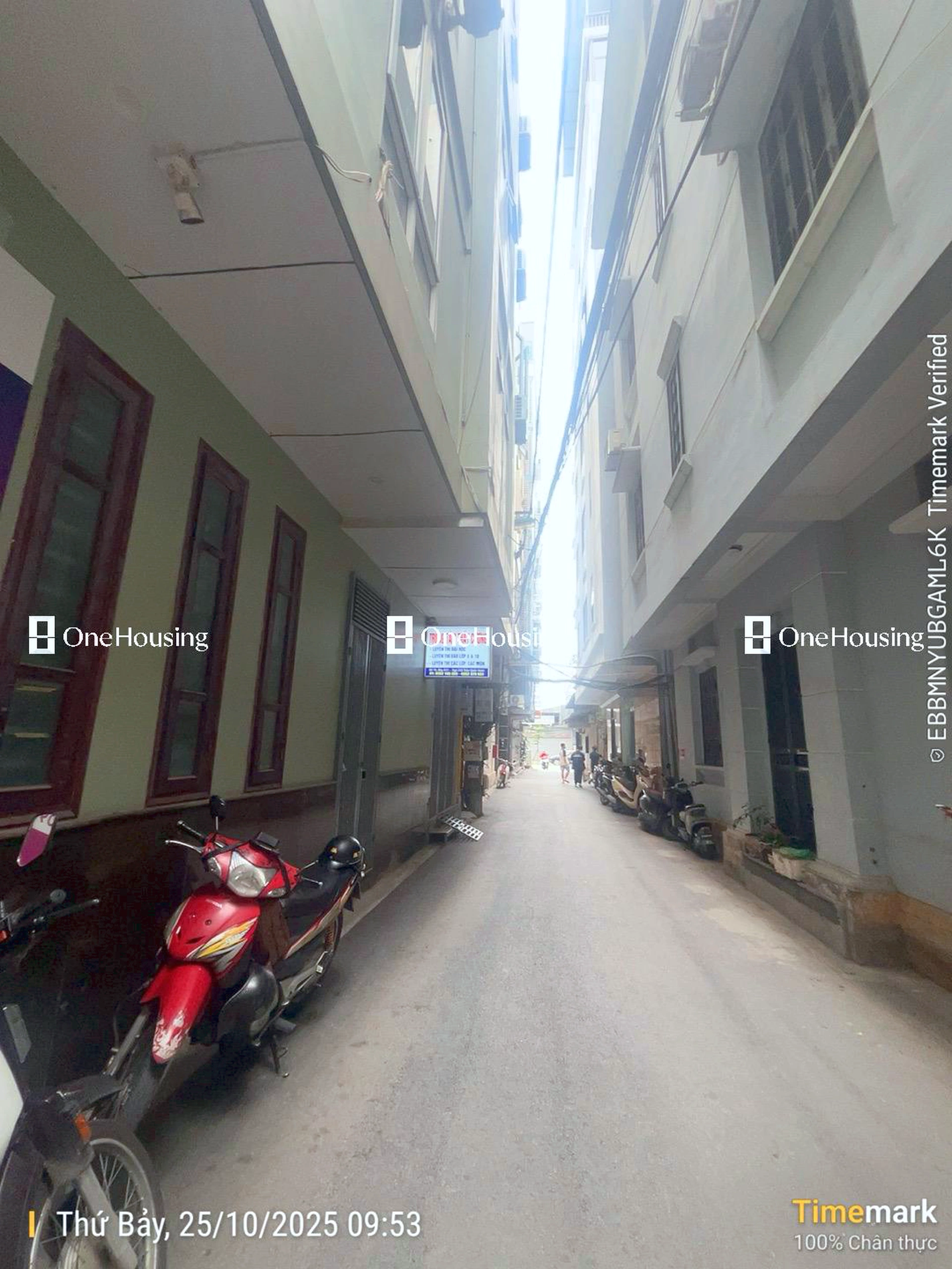 Nhà mặt ngõ cách Trần Quốc Hoàn 50m, P. Dịch Vọng Hậu, Q. Cầu Giấy, TP. Hà Nội