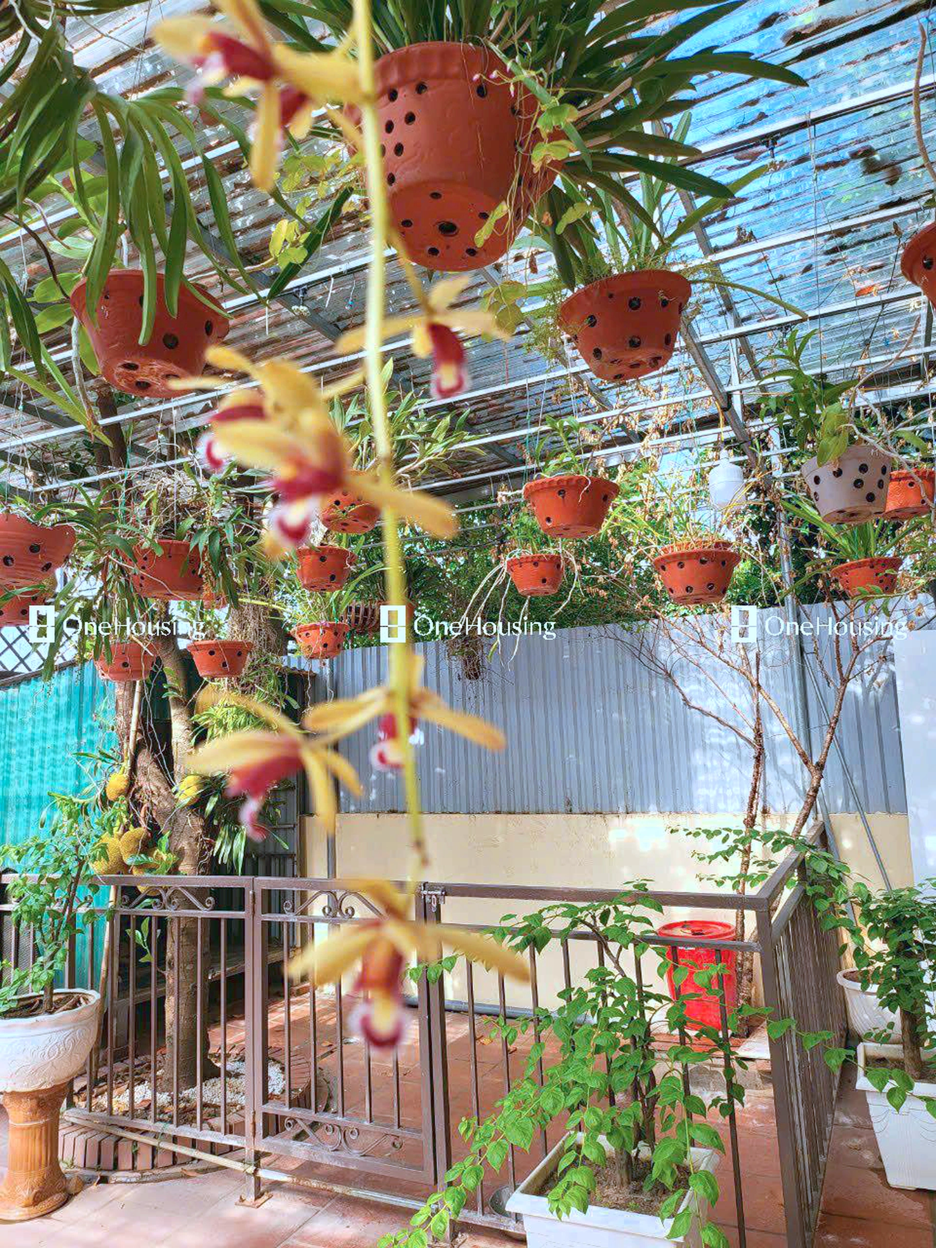 Nhà mặt ngõ cách An Dương Vương (đường gom chân đê) 100m, P. Phú Thượng, Q. Tây Hồ, TP. Hà Nội