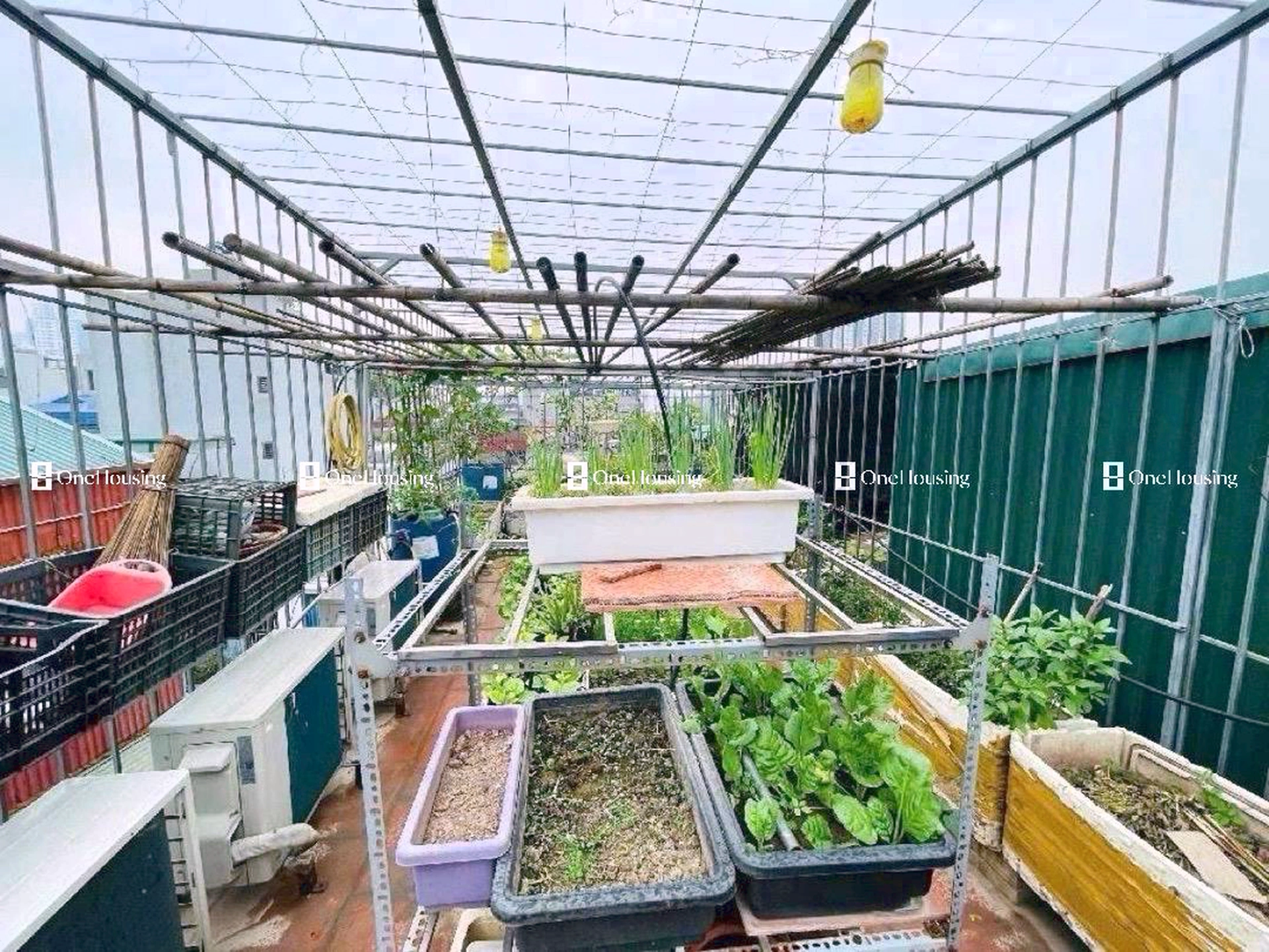 Nhà mặt ngõ cách Khương Đình 50m, P. Hạ Đình, Q. Thanh Xuân, TP. Hà Nội