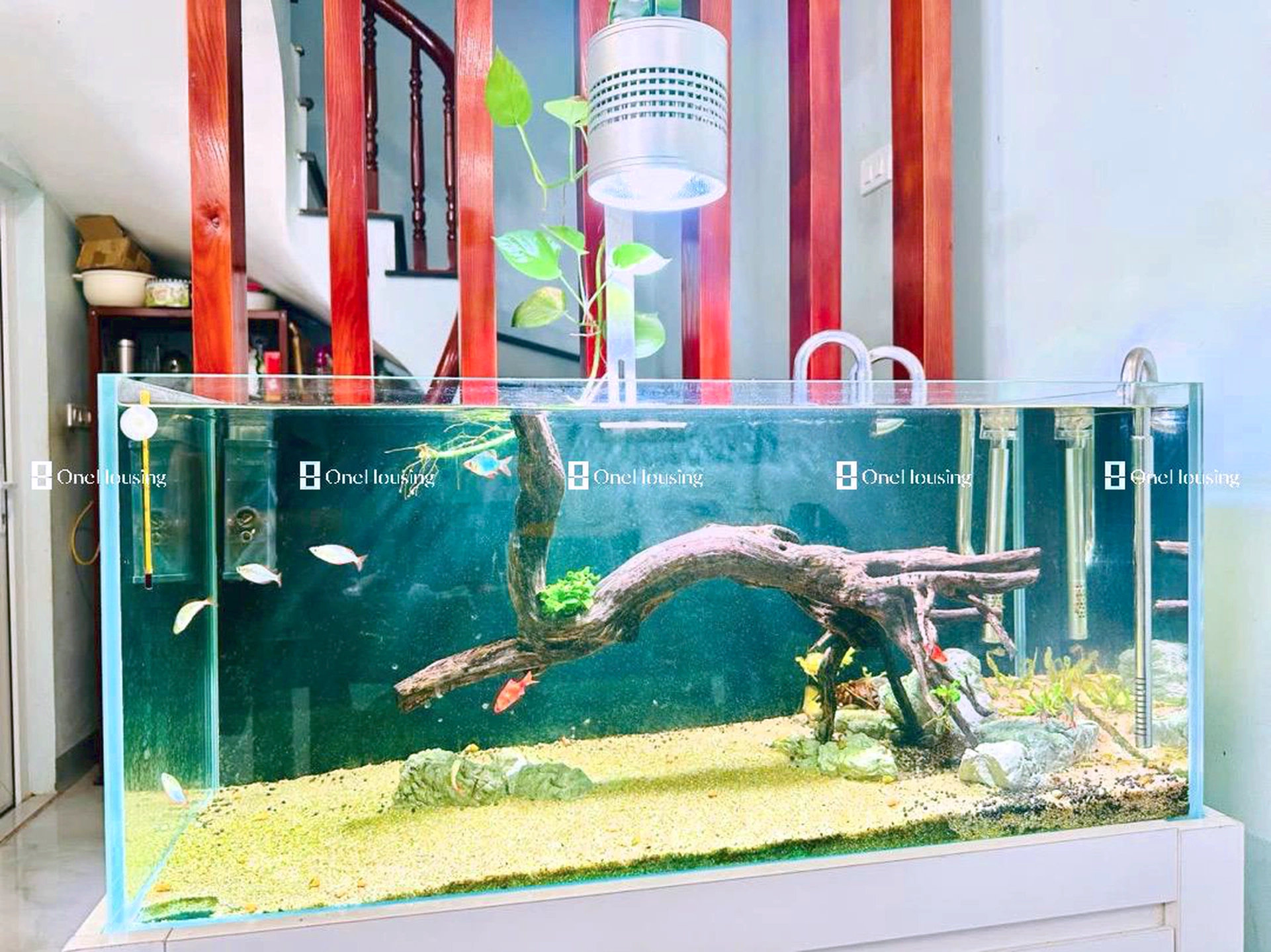 Nhà mặt ngõ cách Lê Quang Đạo 100m, P. Phú Đô, Q. Nam Từ Liêm, TP. Hà Nội