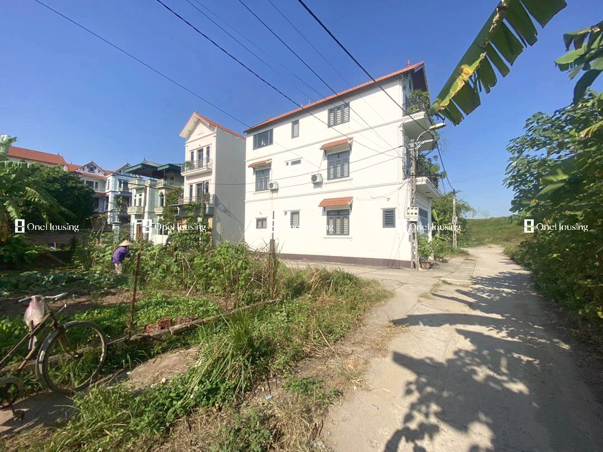 Đất nền cách Đê Sông Đuống 30m, X. Kim Sơn, H. Gia Lâm, TP. Hà Nội