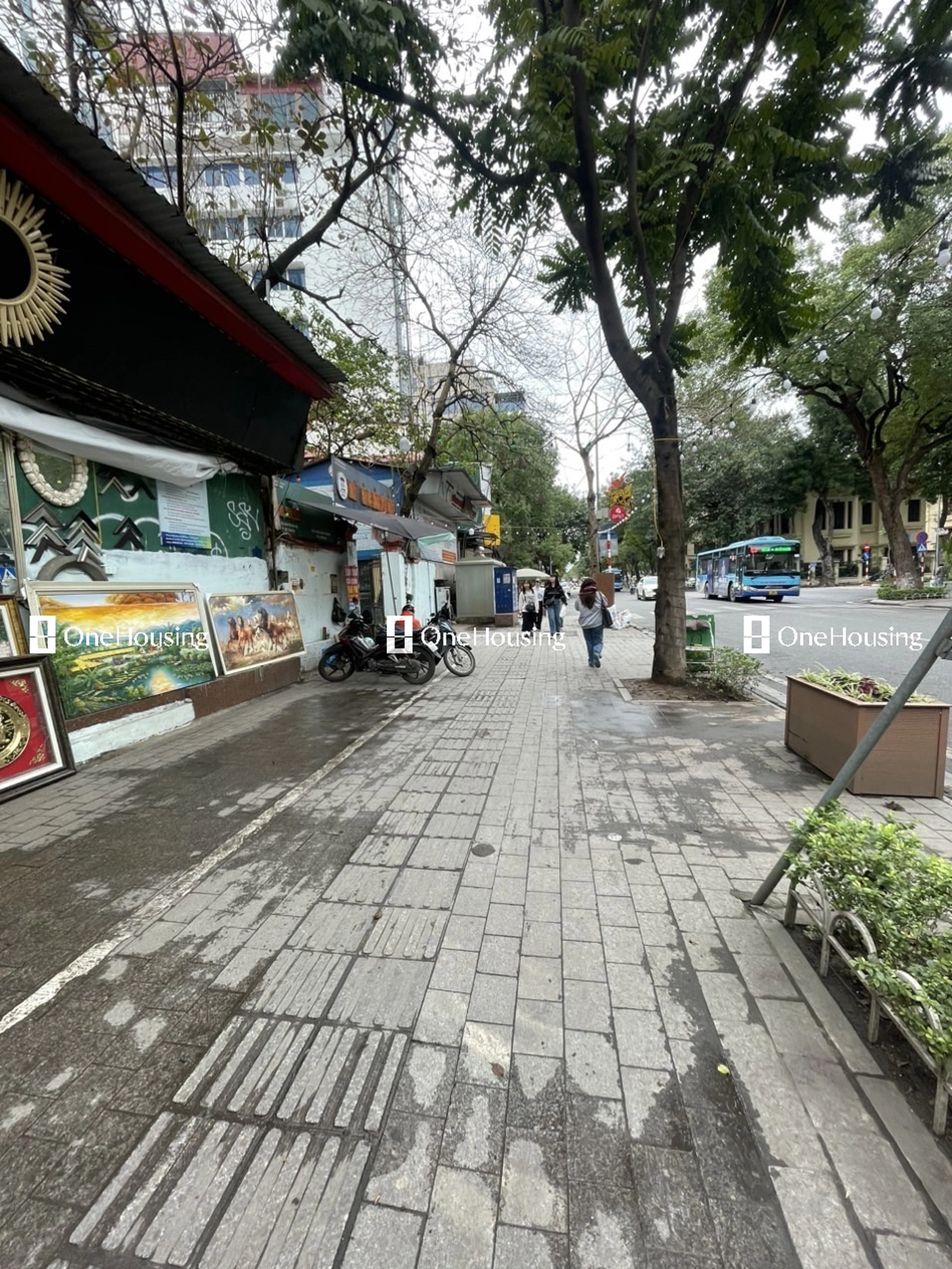 Nhà mặt phố Nguyễn Thái Học, P. Văn Miếu, Q. Đống Đa, TP. Hà Nội