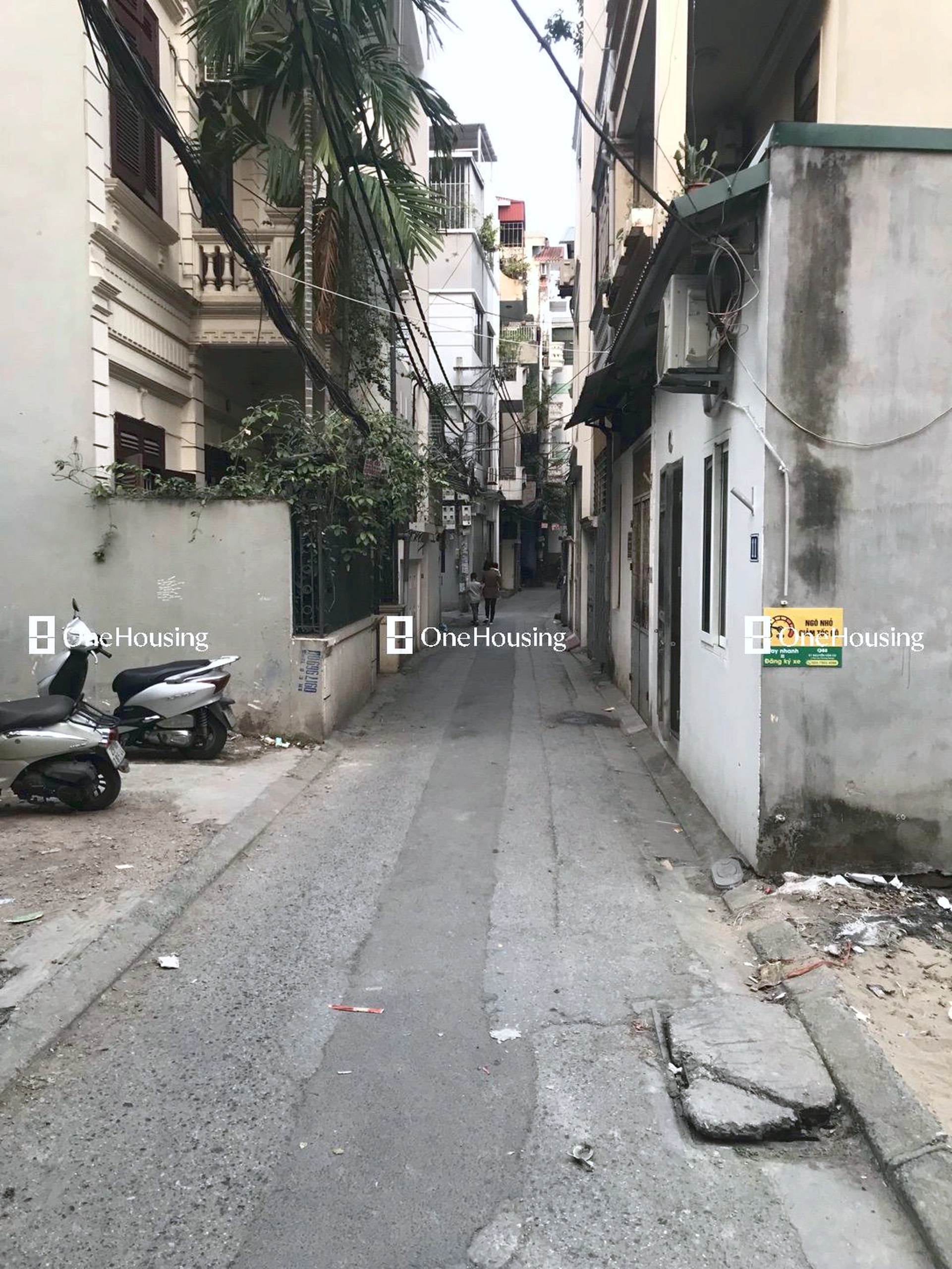 Đất nền cách Ngọc Lâm 50m, P. Ngọc Lâm, Q. Long Biên, TP. Hà Nội