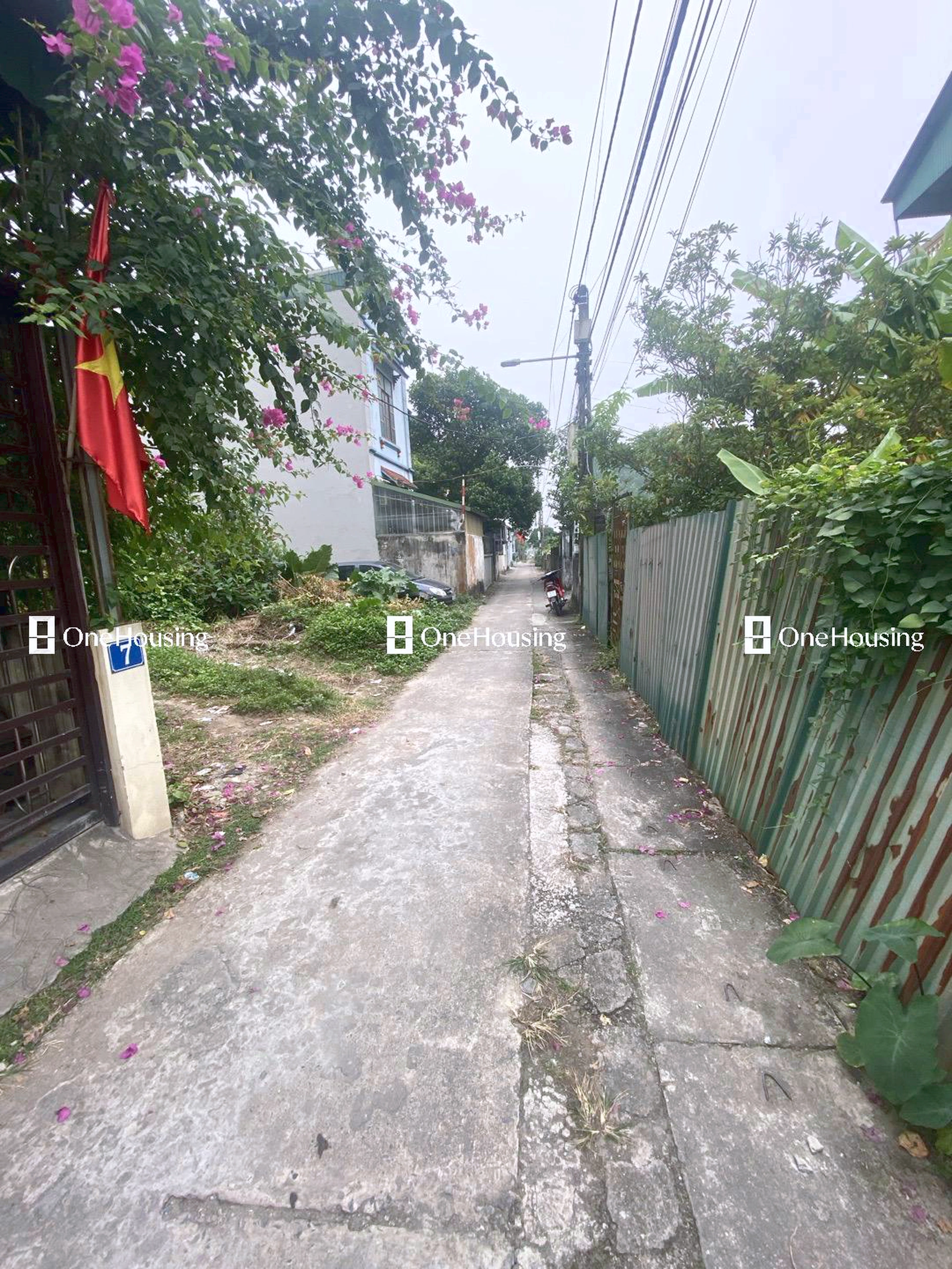 Đất nền cách Đường Cổ Bi 70m, X. Cổ Bi, H. Gia Lâm, TP. Hà Nội