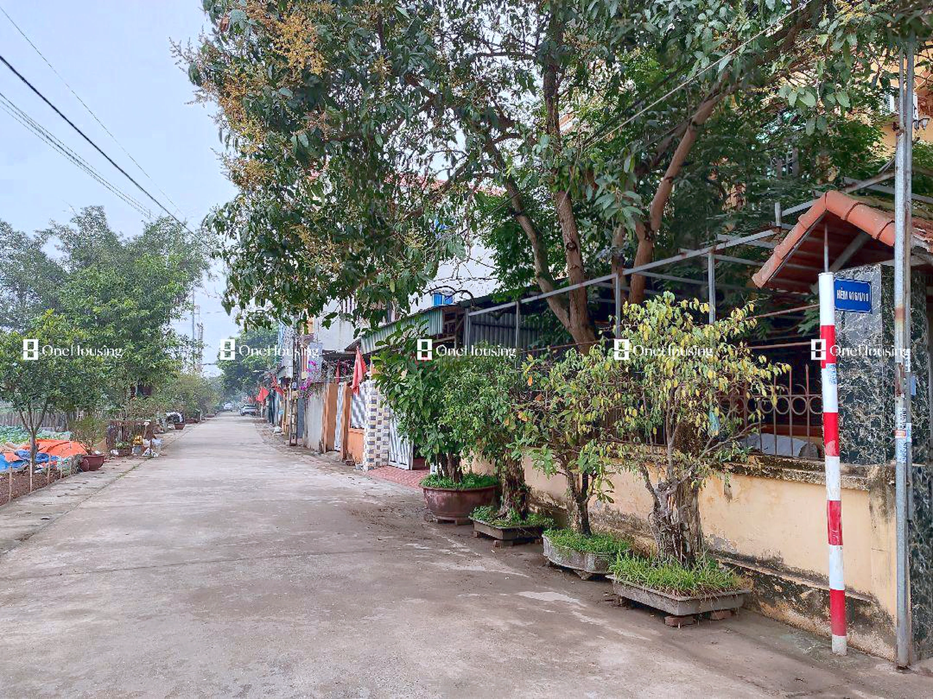 Đất nền cách Đường Ỷ Lan 50m, X. Đặng Xá, H. Gia Lâm, TP. Hà Nội