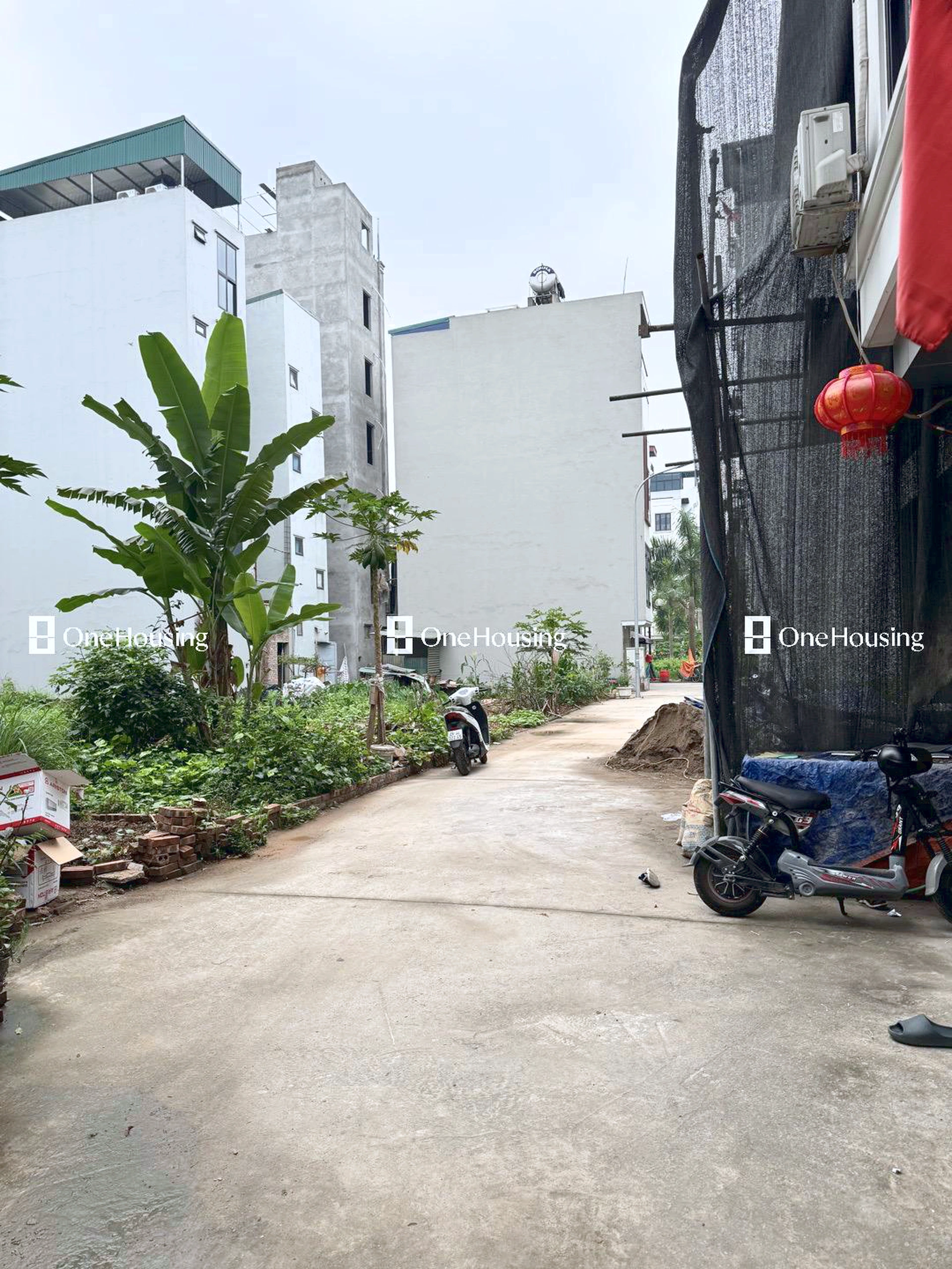 Đất nền cách Ngọc Thụy (mặt đê và đường gom chân đê) 10m, P. Bồ Đề, Q. Long Biên, TP. Hà Nội