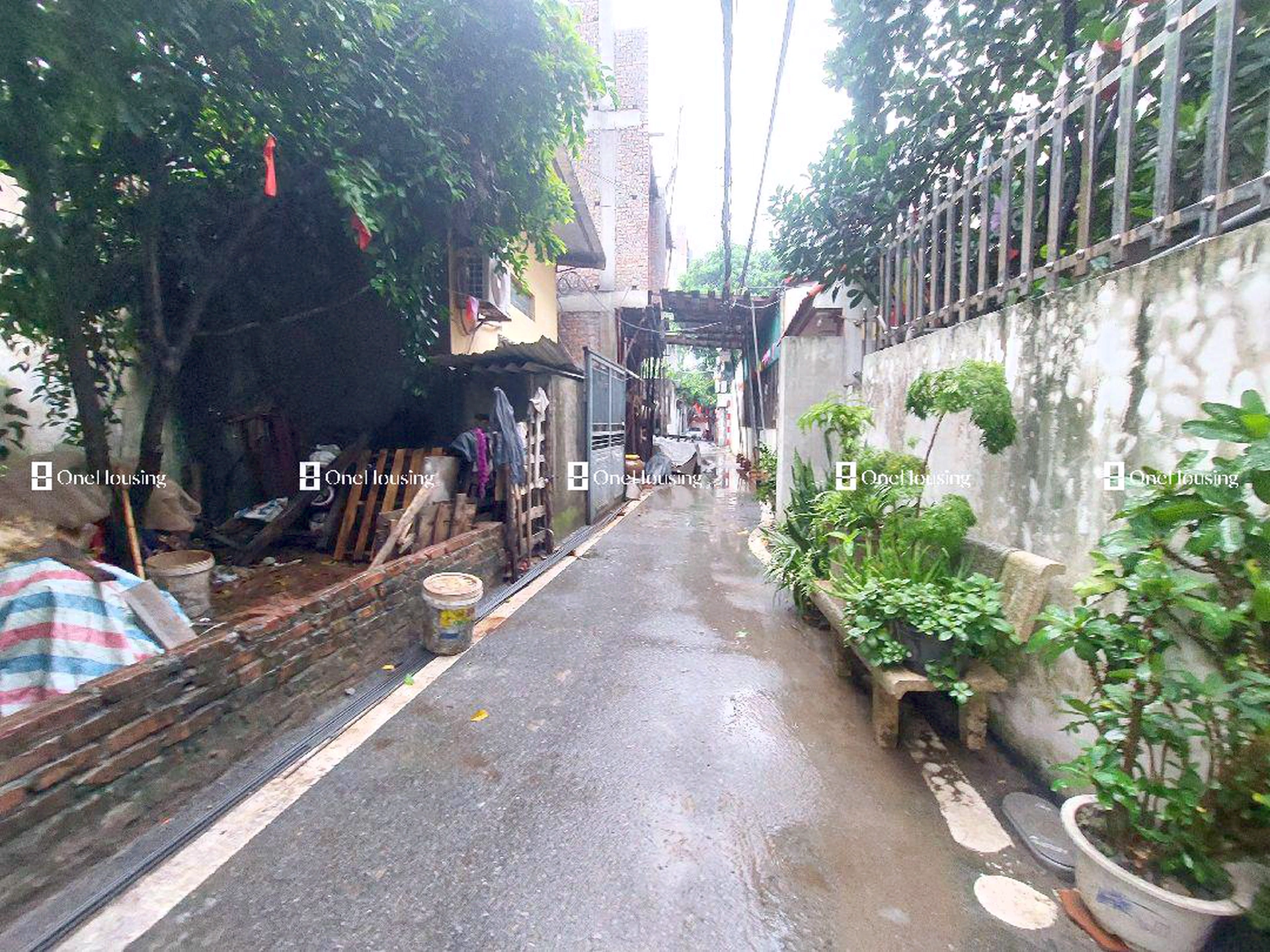 Đất nền cách Đàm Quang Trung 70m, P. Long Biên, Q. Long Biên, TP. Hà Nội