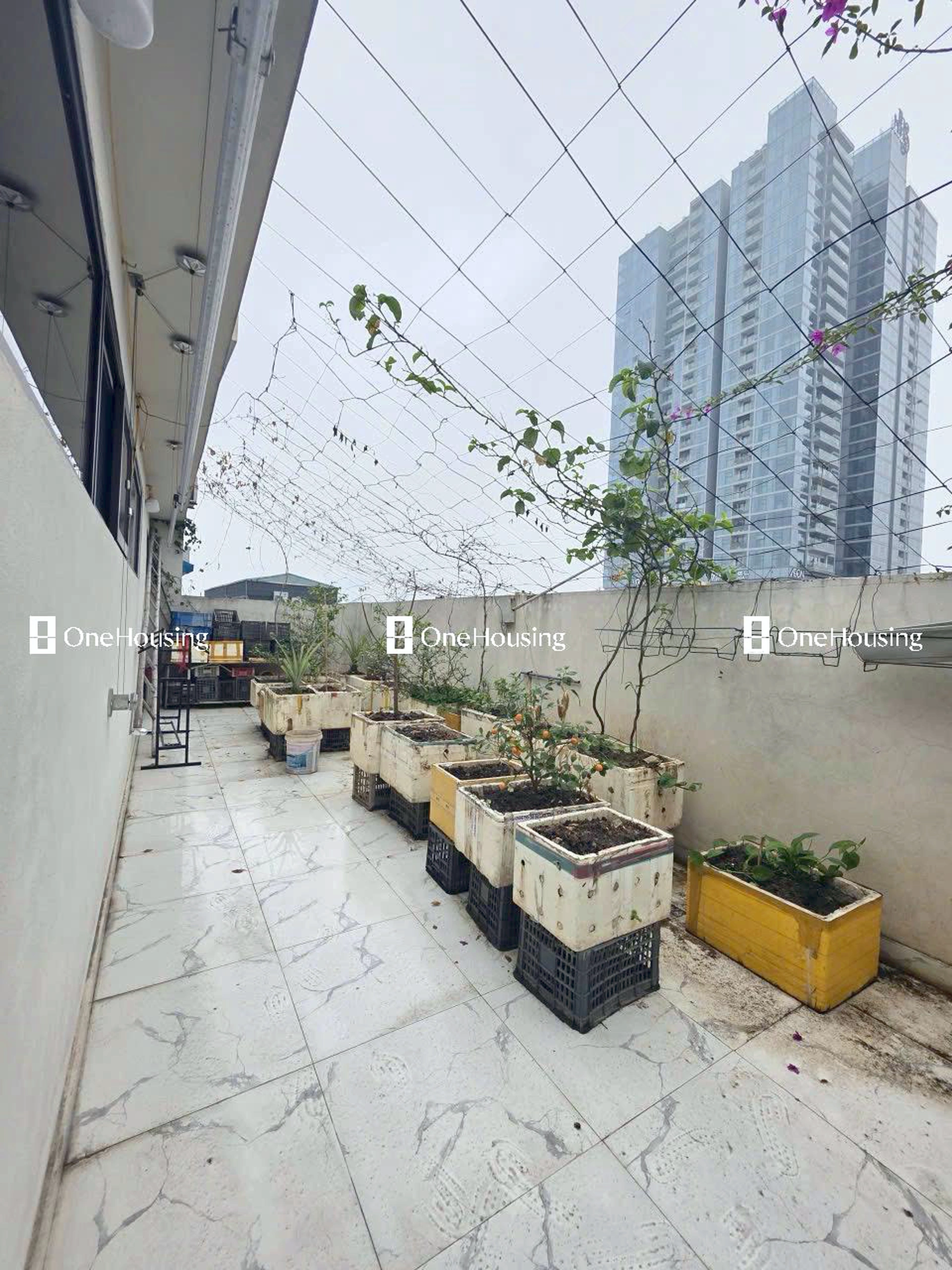 Nhà mặt ngõ cách Phạm Văn Đồng 15m, P. Dịch Vọng Hậu, Q. Cầu Giấy, TP. Hà Nội