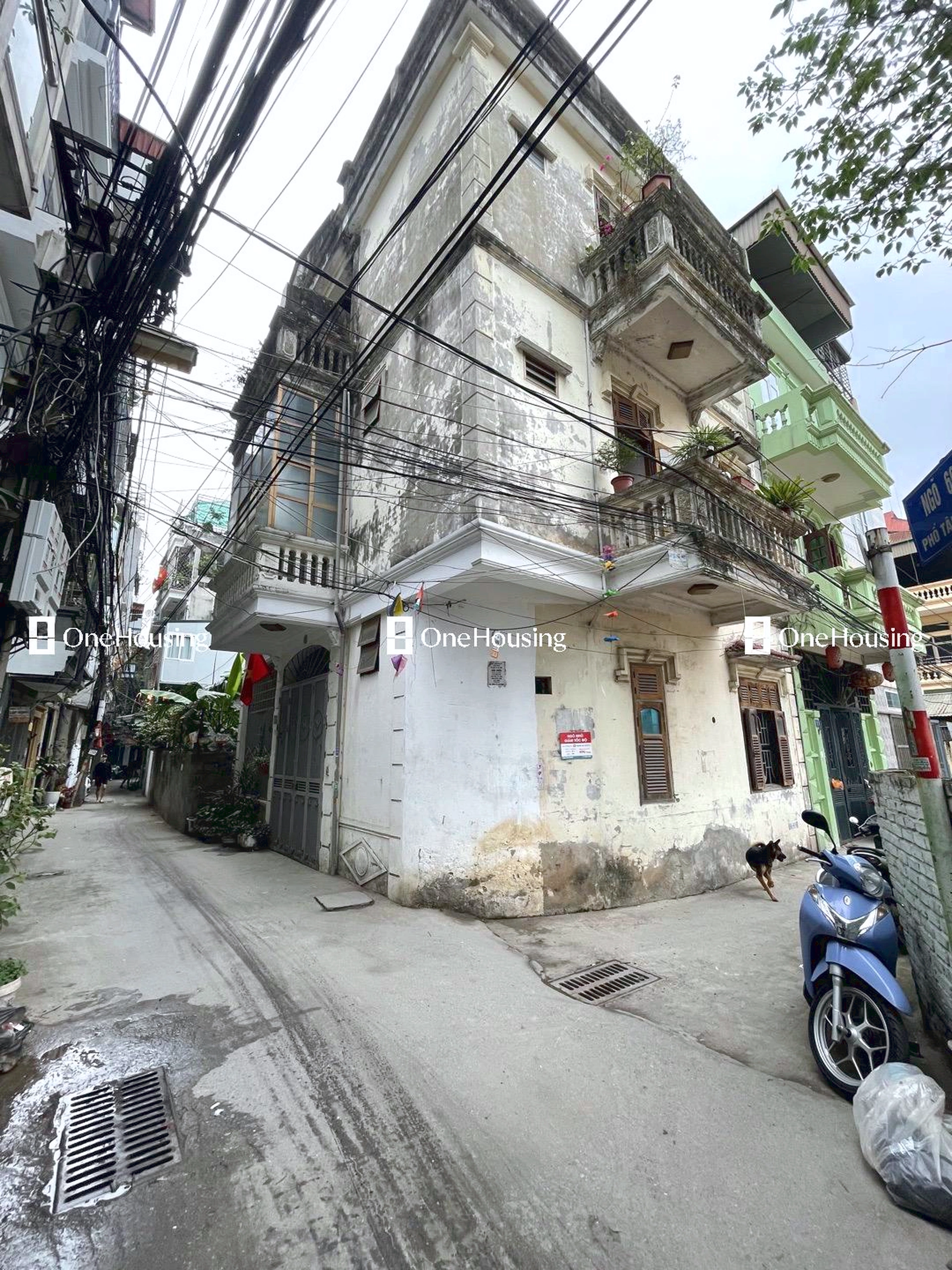 Onehousing image