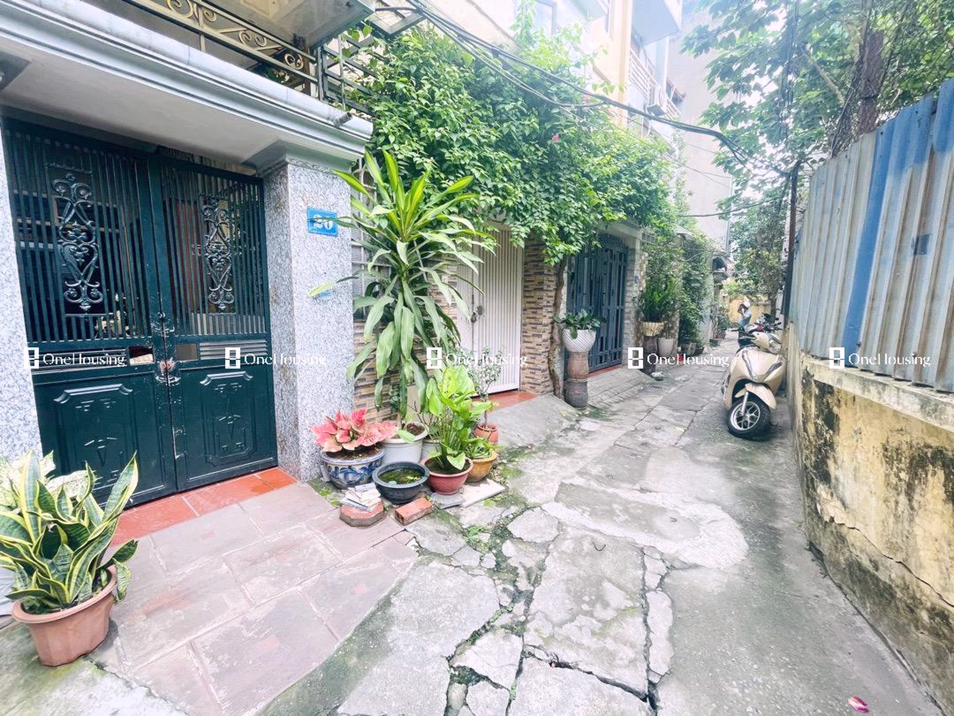 Nhà mặt ngõ cách Trường Chinh 63m, P. Phương Liệt, Q. Thanh Xuân, TP. Hà Nội