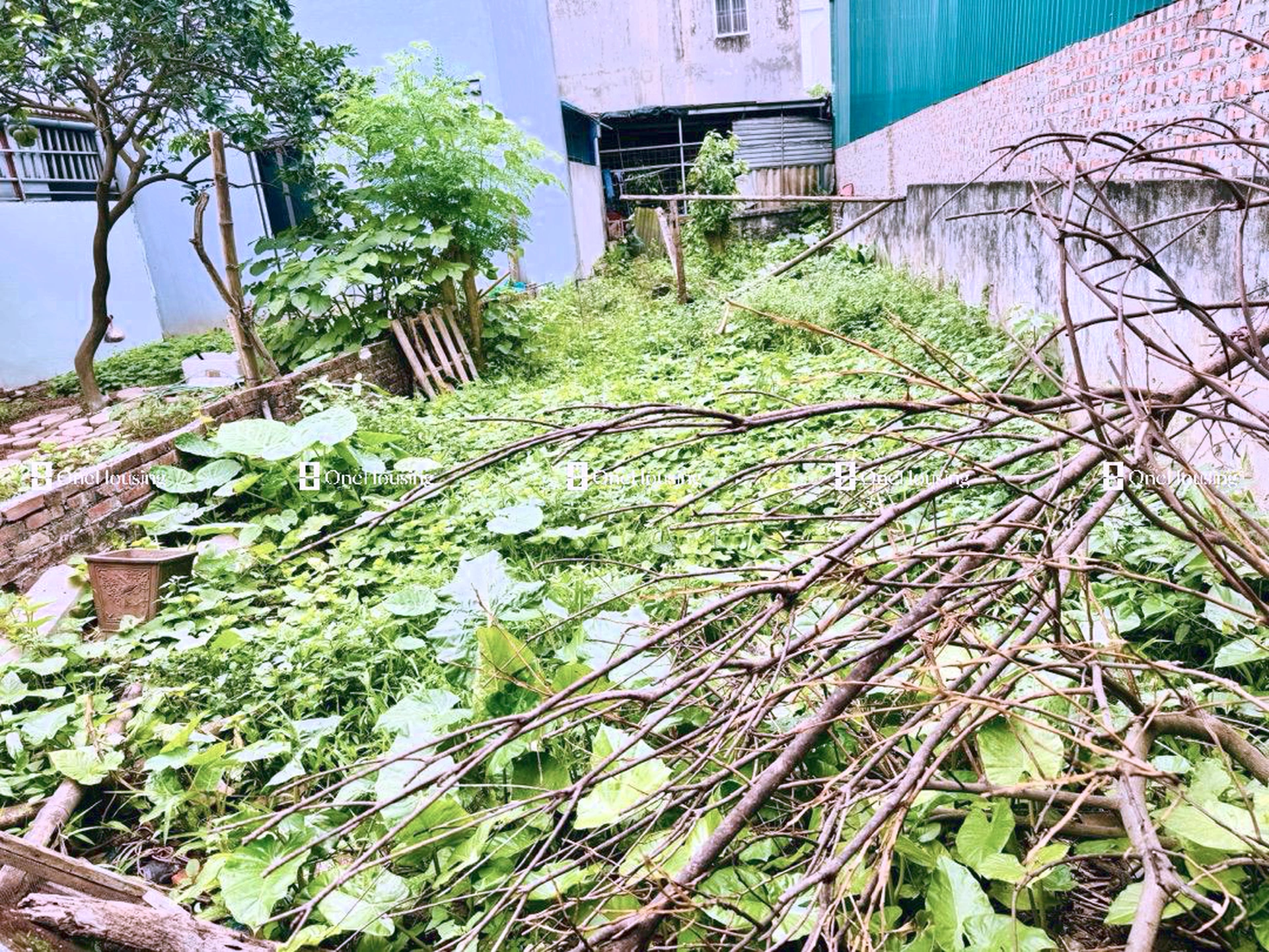 Đất nền cách Giang Biên 15m, P. Phúc Lợi, Q. Long Biên, TP. Hà Nội